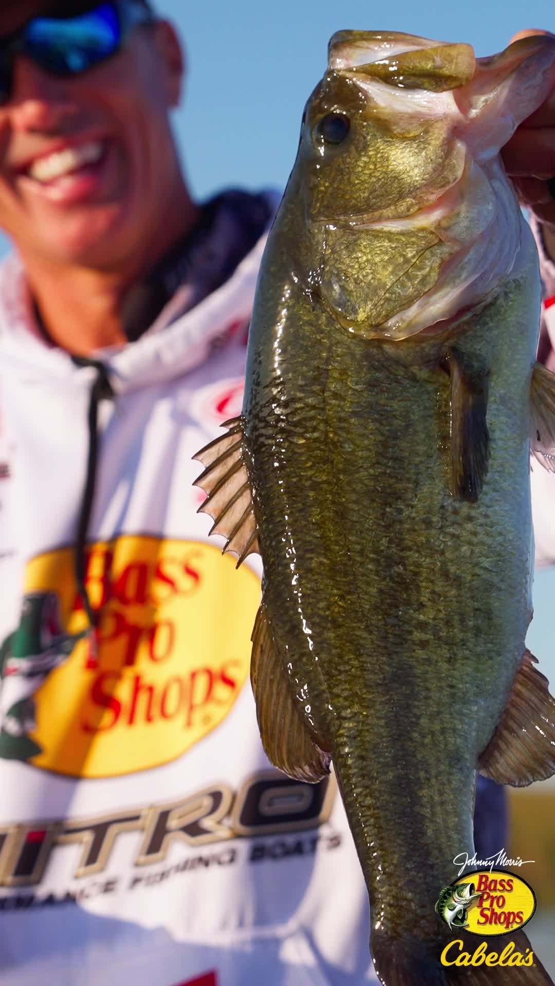 Bass Pro Shops Facebook ad: Let's Go Fishin'