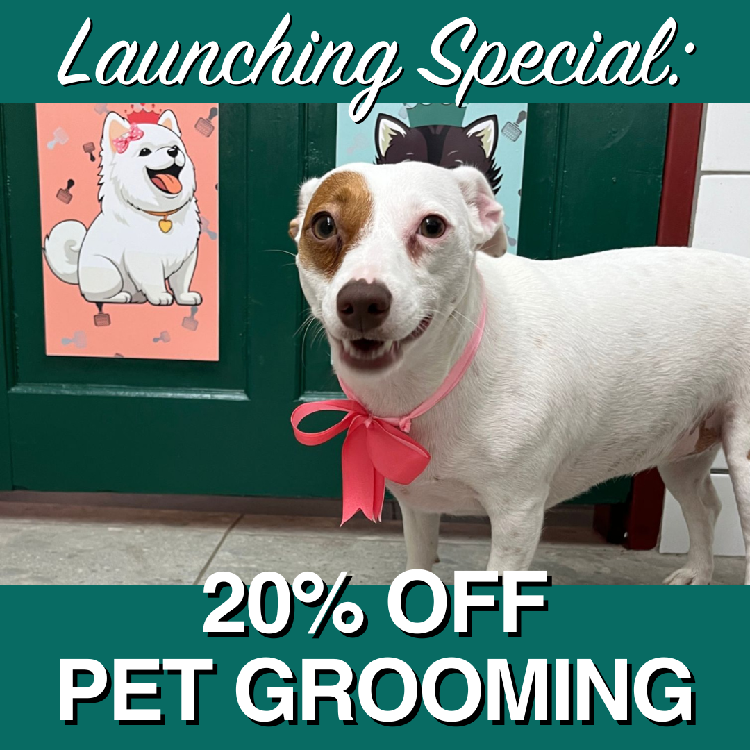 The Queen Grooming Parlour Facebook ad