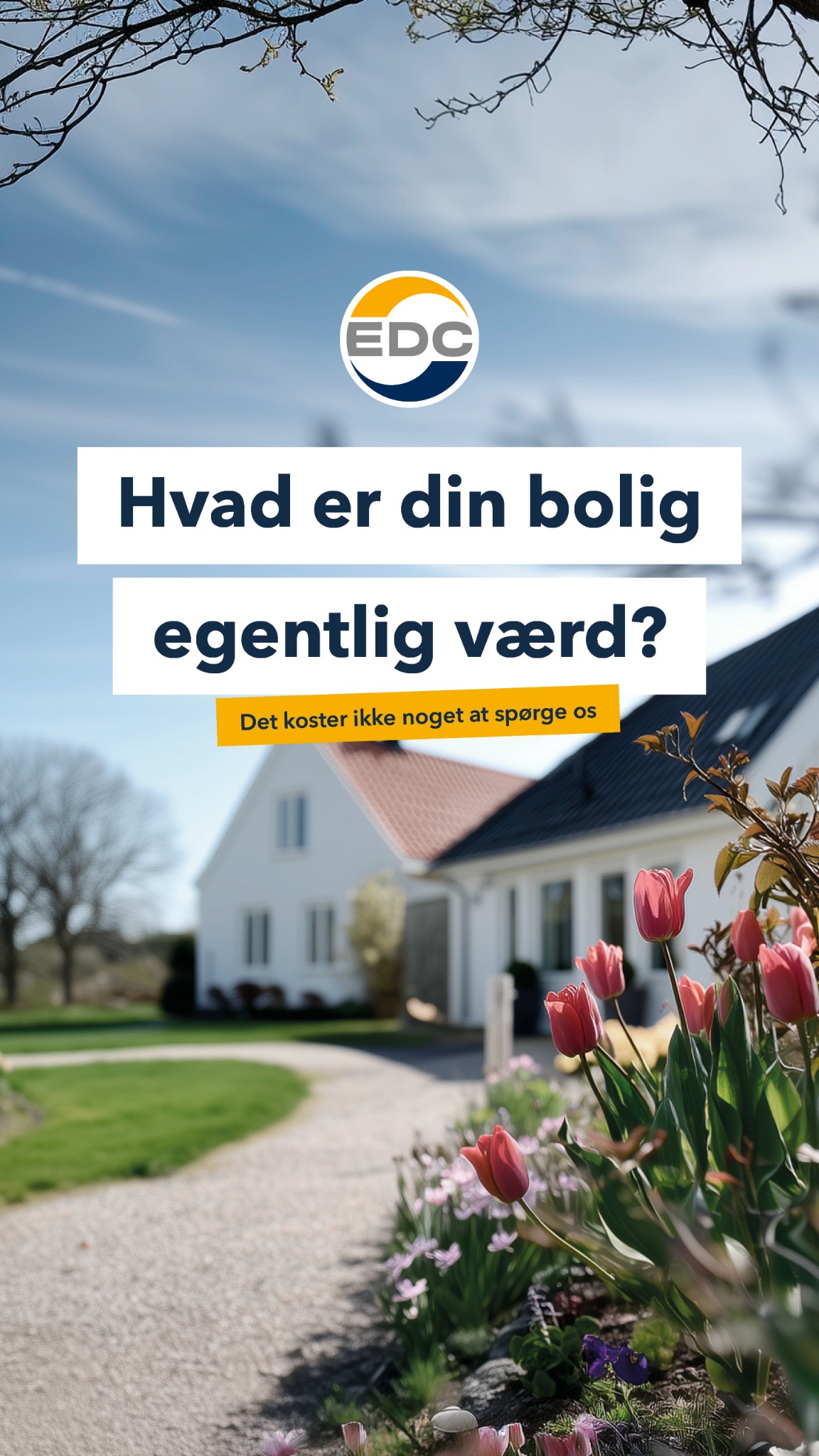 EDC Facebook ad