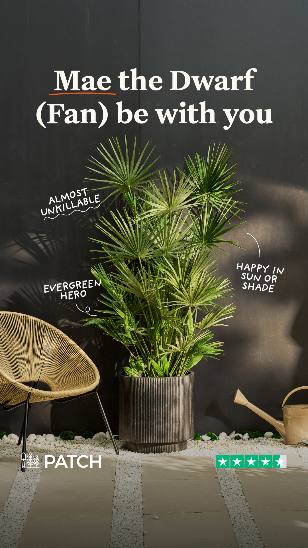 Patch plants Facebook ad