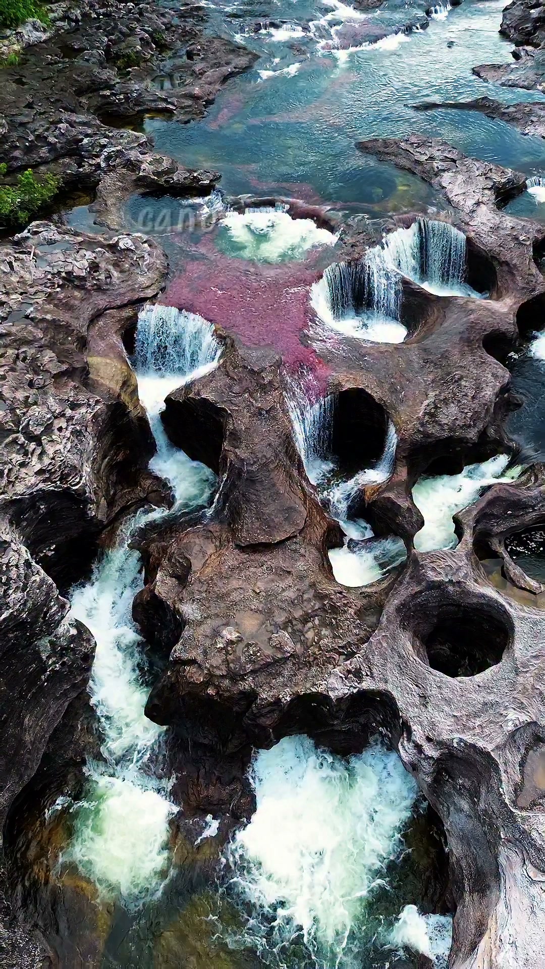 San Juan Adventures Facebook ad: Viaja con nosotros.