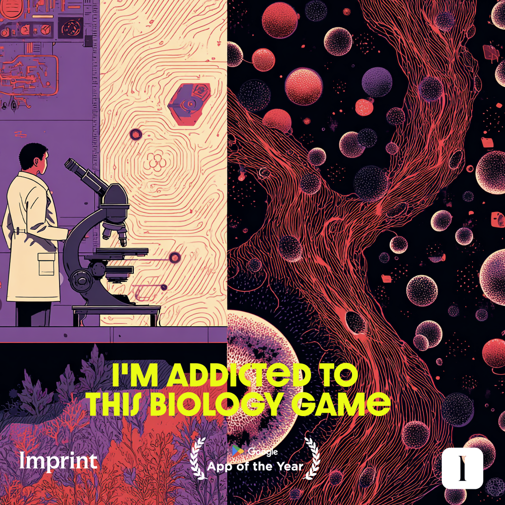 Imprint: Learn Visually Facebook ad