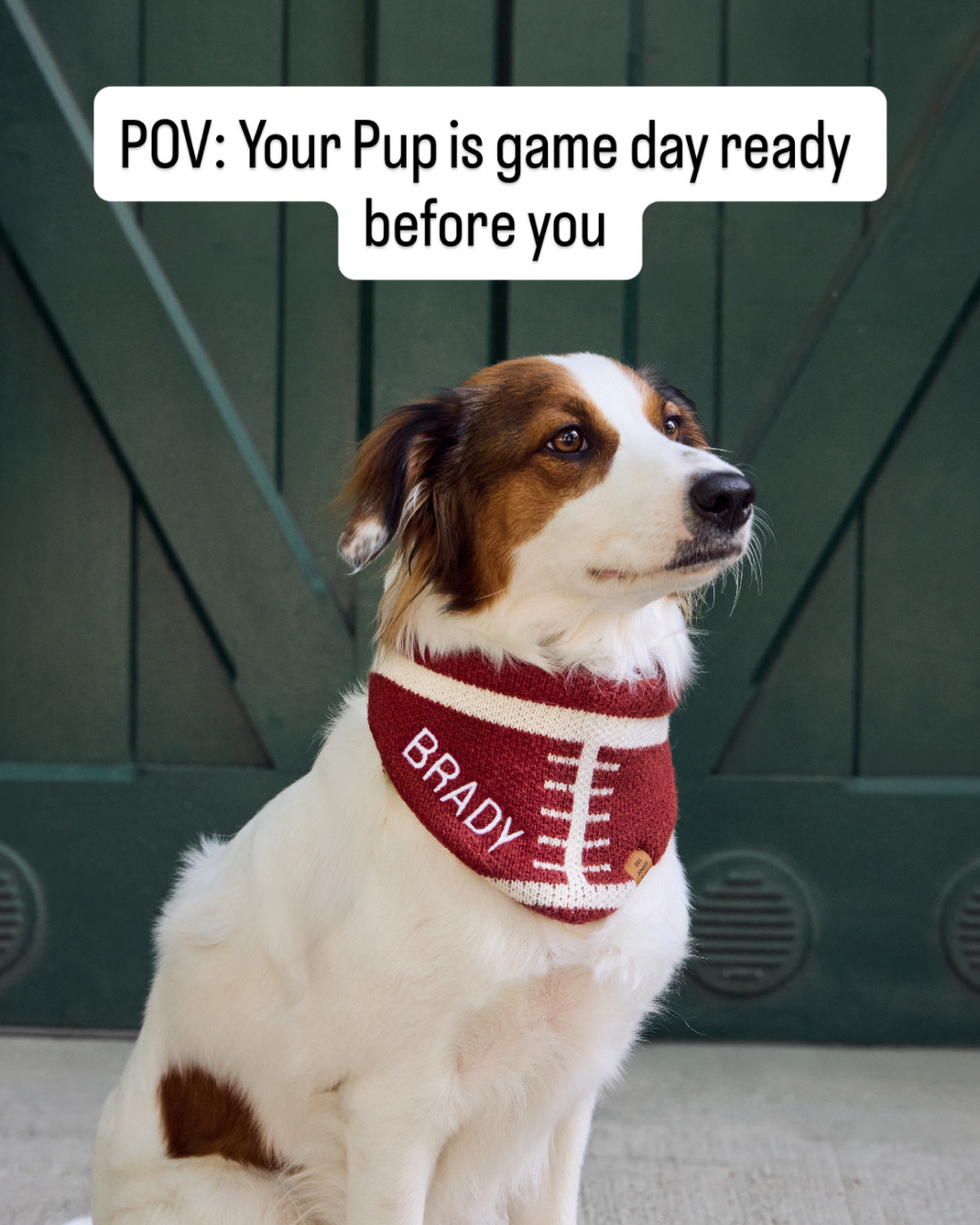 The Foggy Dog Facebook ad