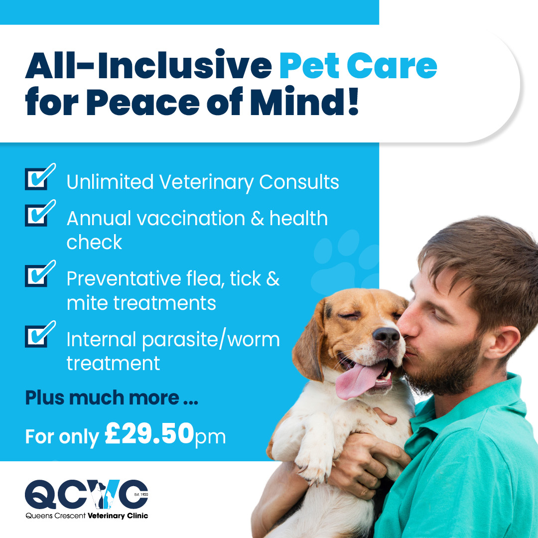 Queens Crescent Veterinary Clinic Facebook ad