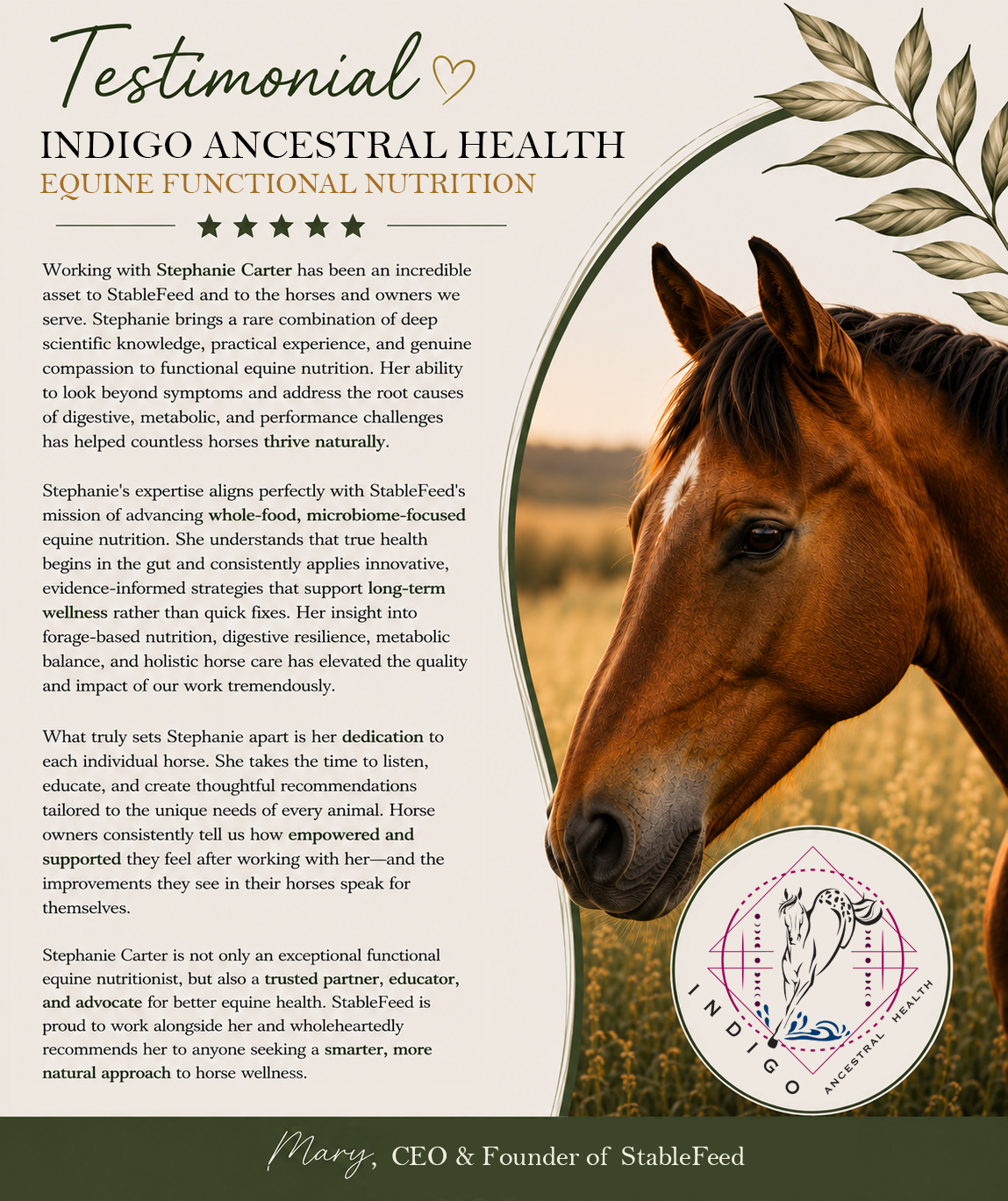 Indigo Ancestral Health Facebook ad: Indigo Ancestral Health - Equine and Companion Animal…