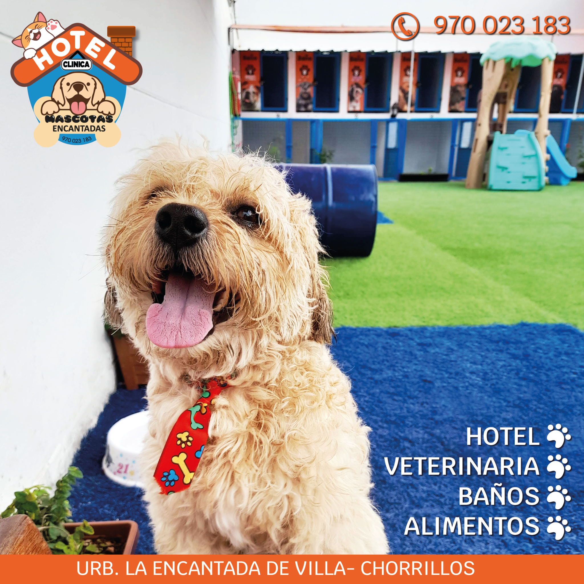 Hotel Mascotas Encantadas Facebook ad