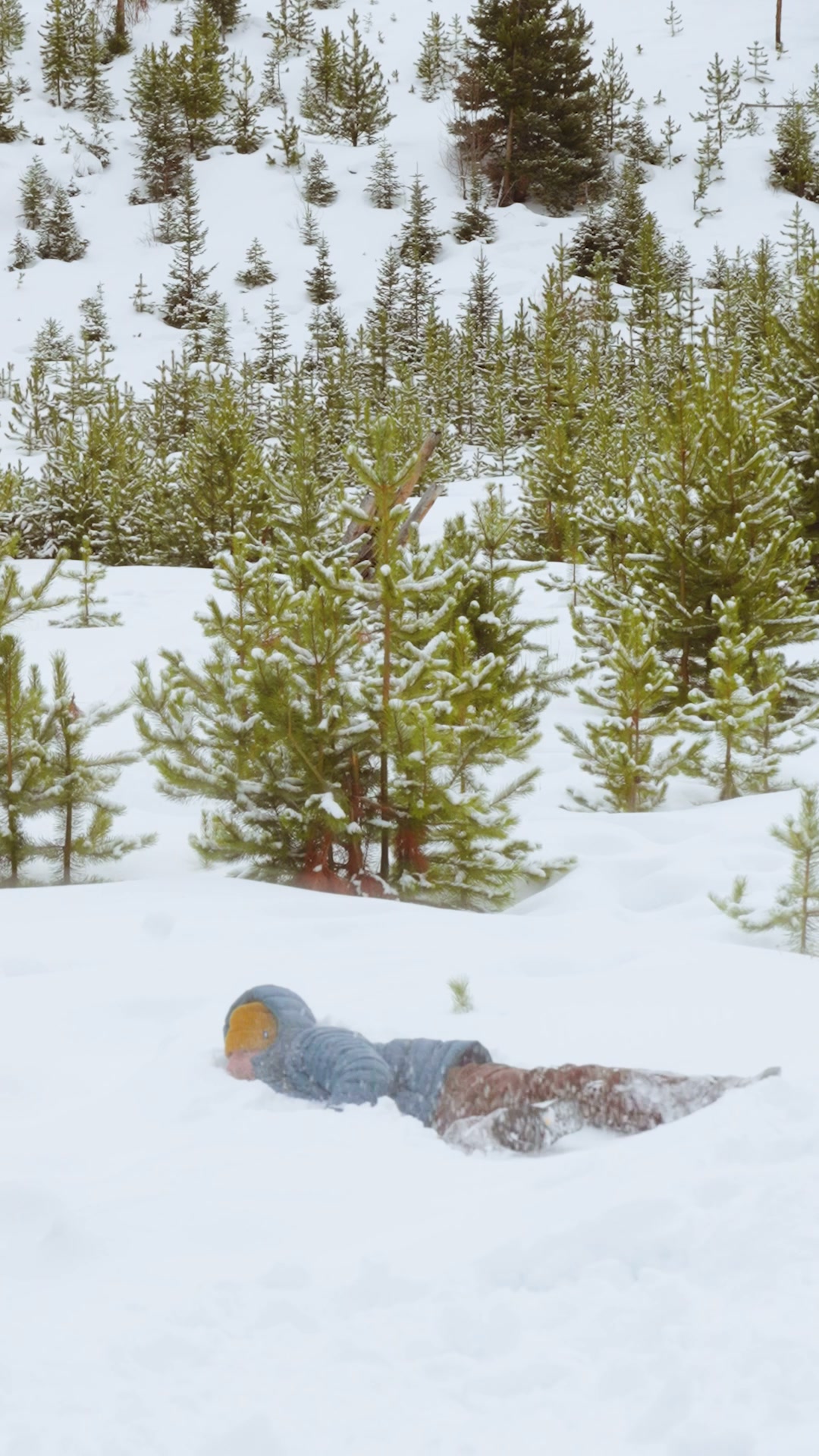 Smartwool Facebook ad: New Winterloft Jacket