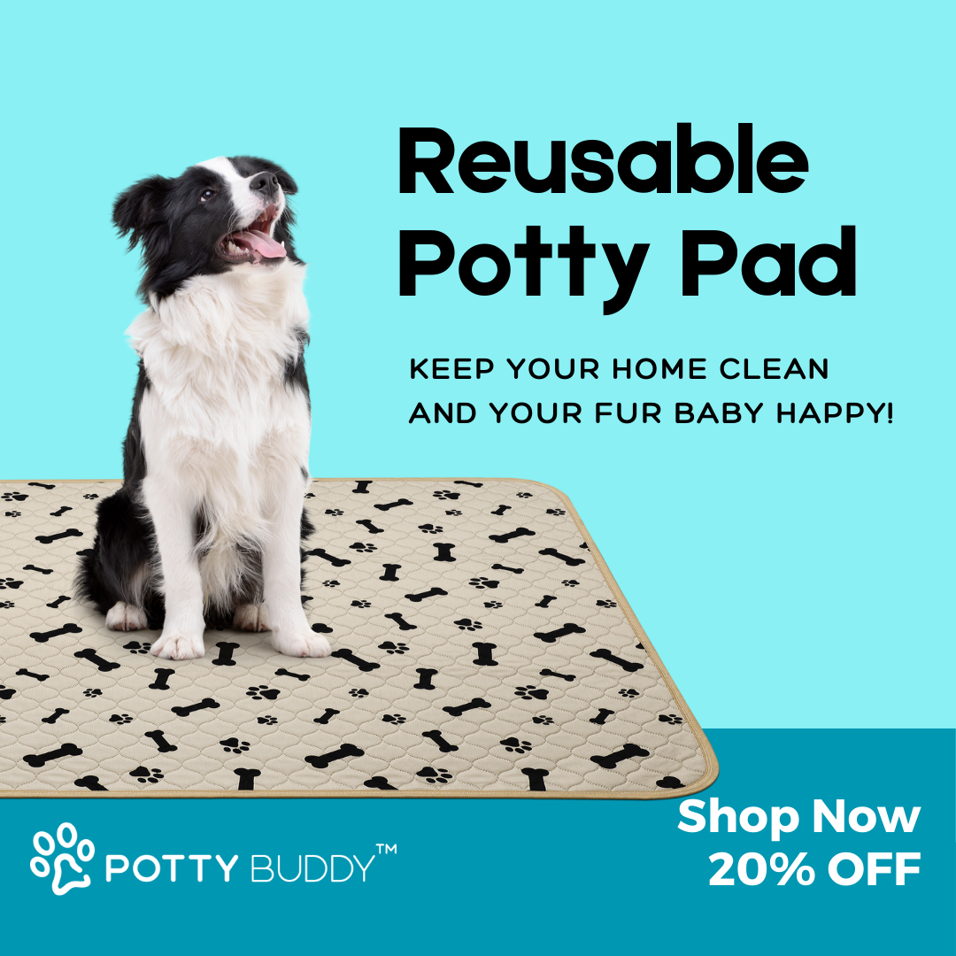 Potty Buddy Facebook ad