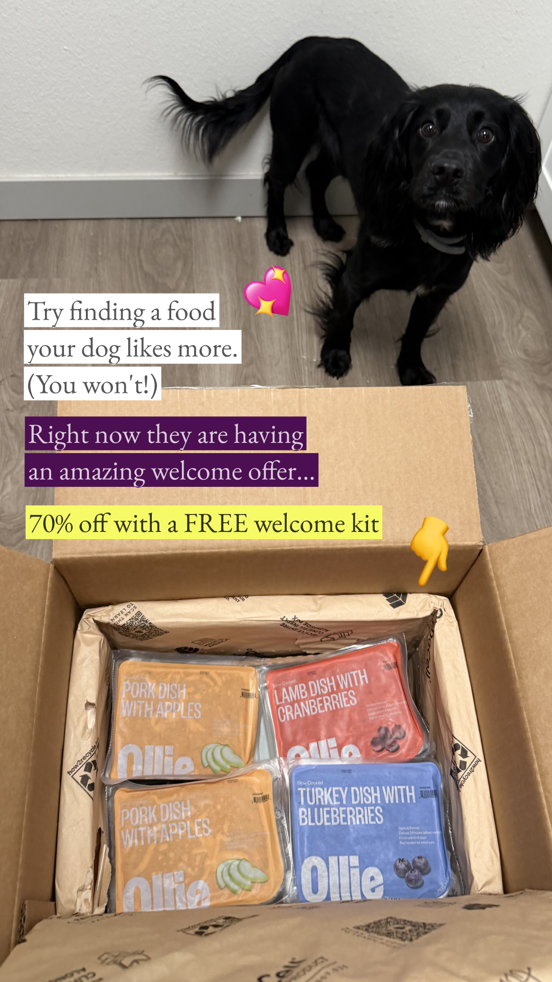 exploringnoelle Facebook ad