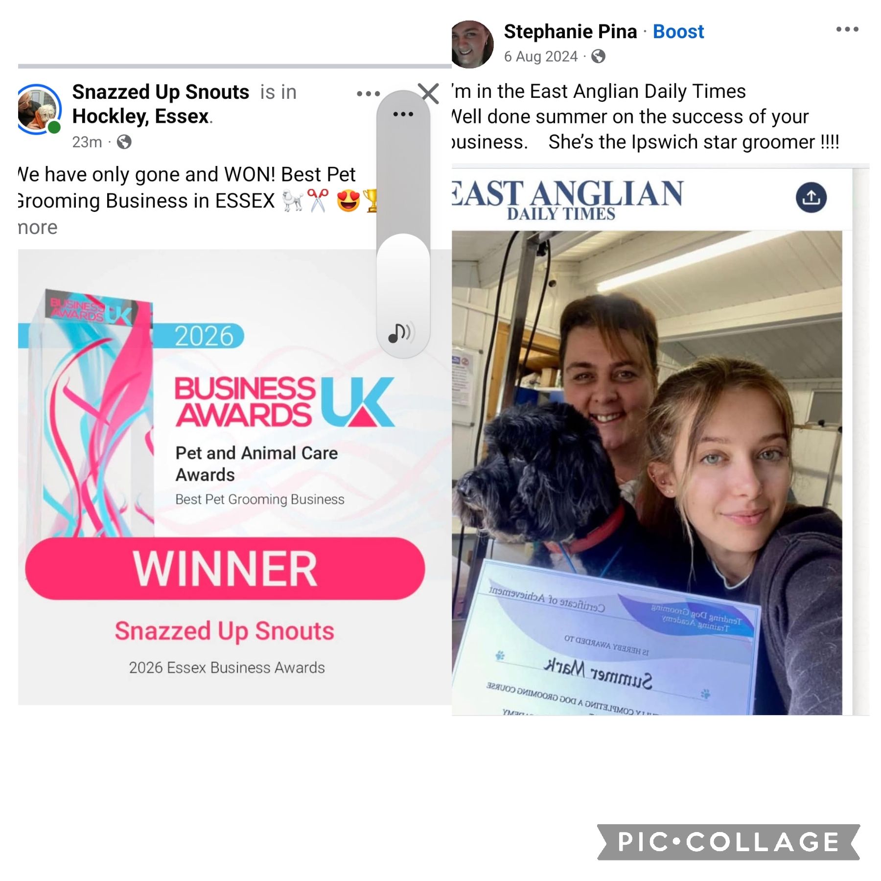 Tendring Dog Grooming Training Academy Facebook ad: So proud. 2 of my students both won…