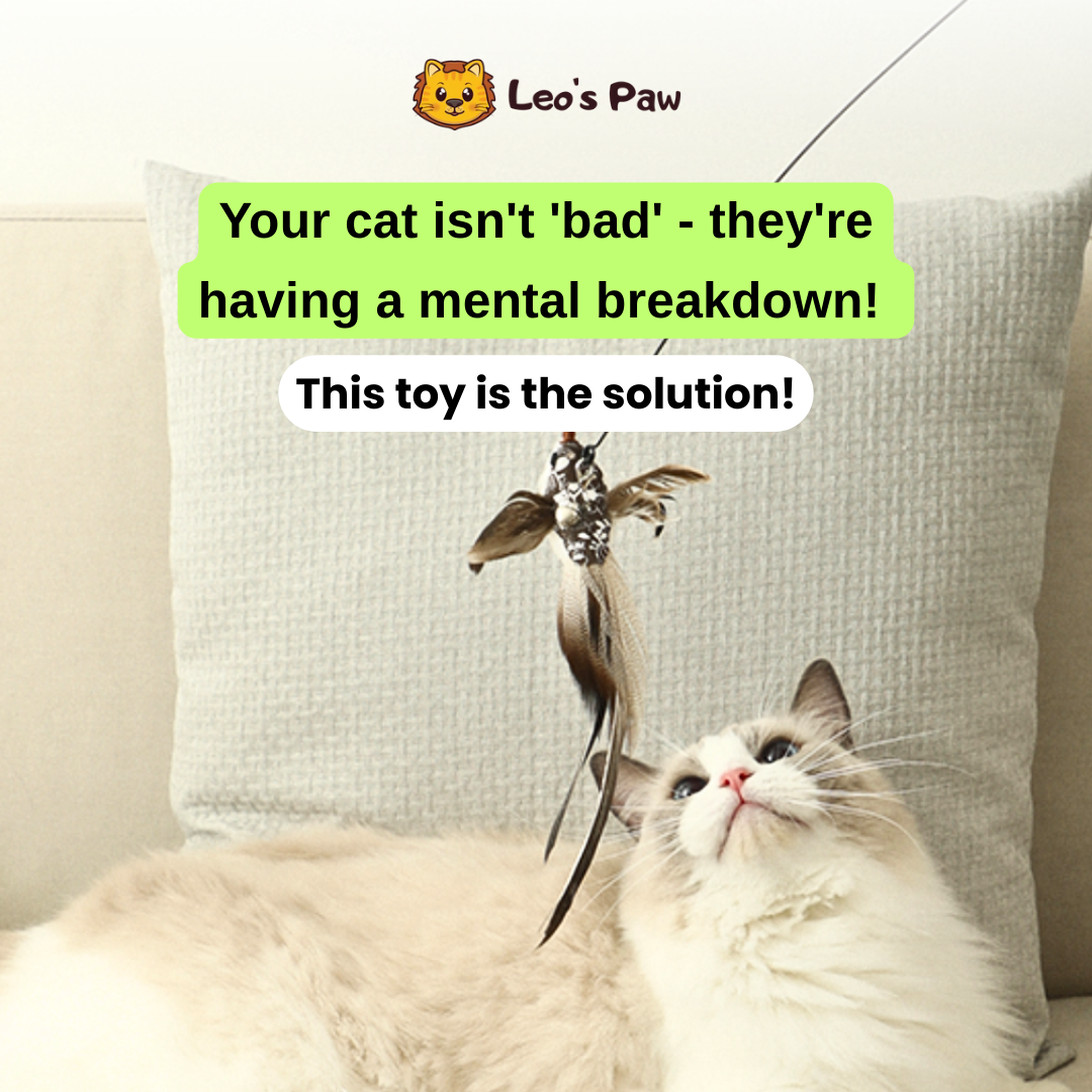 Leo's Paw Facebook ad