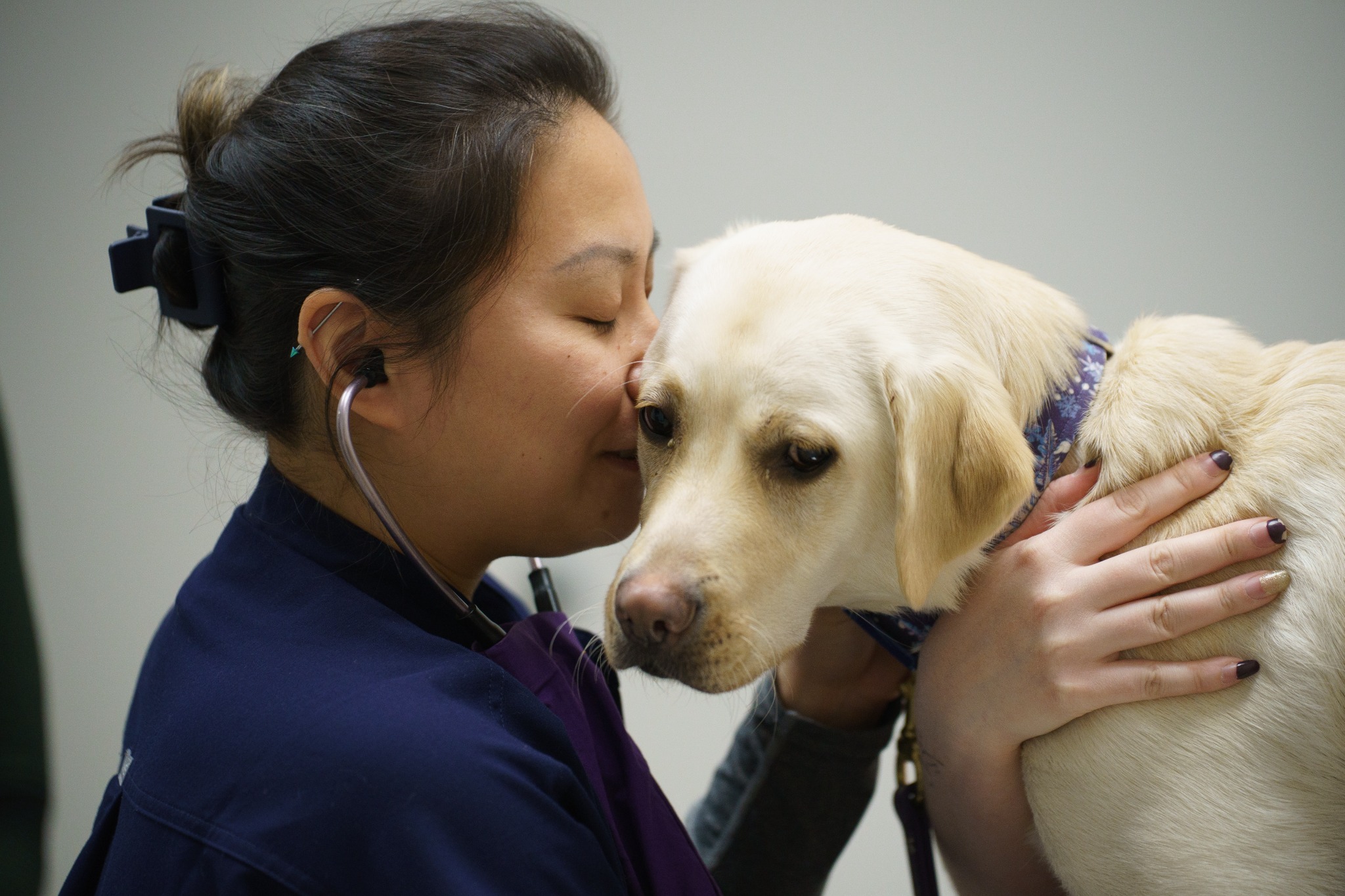 Boundary Bay Veterinary Specialty Hospital Facebook ad
