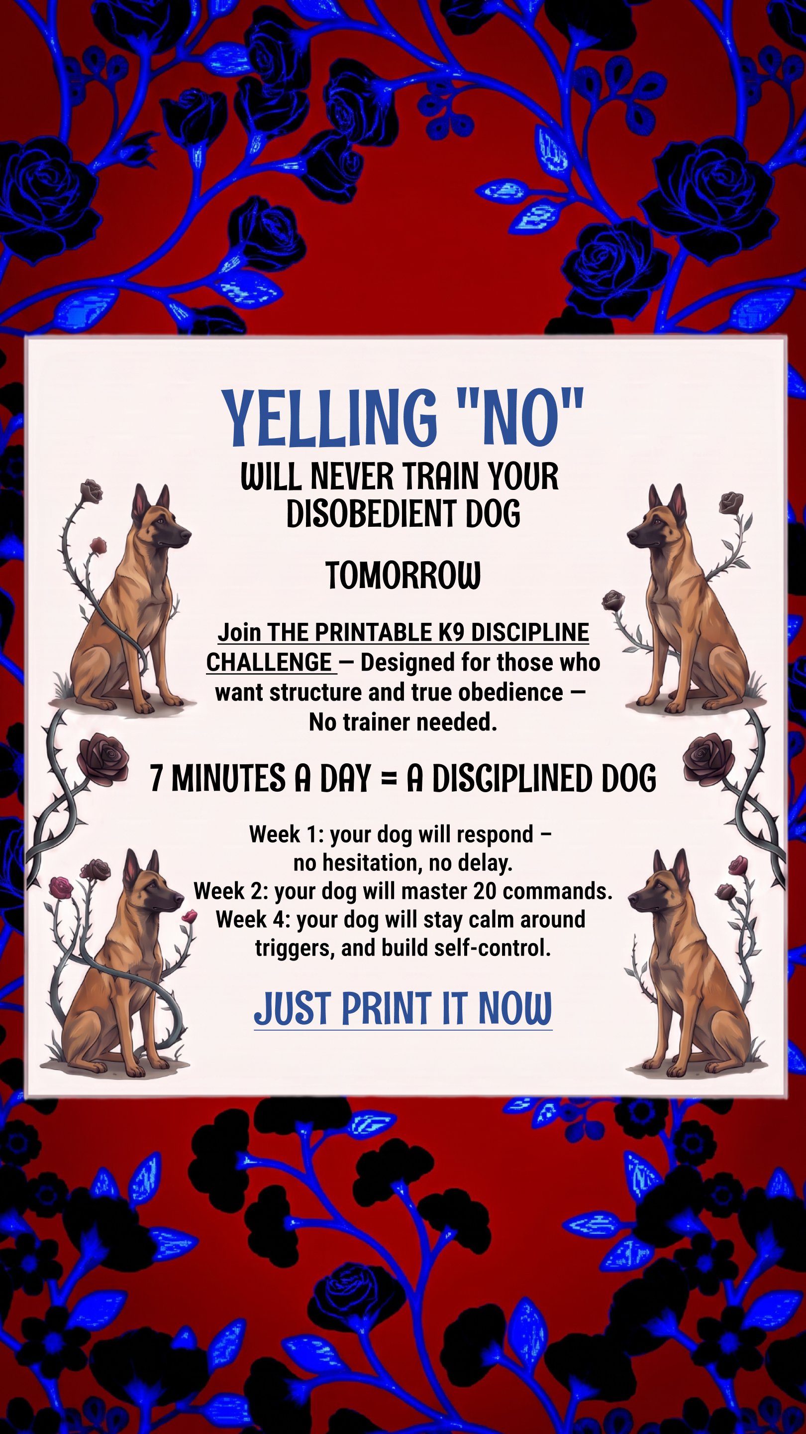 Dog Training Program Facebook ad: Take the lead. Start now