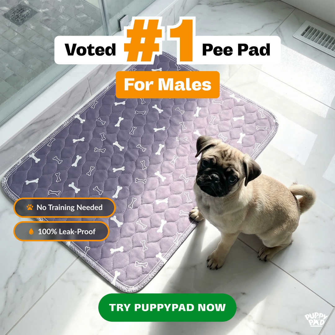 PuppyPad Facebook ad