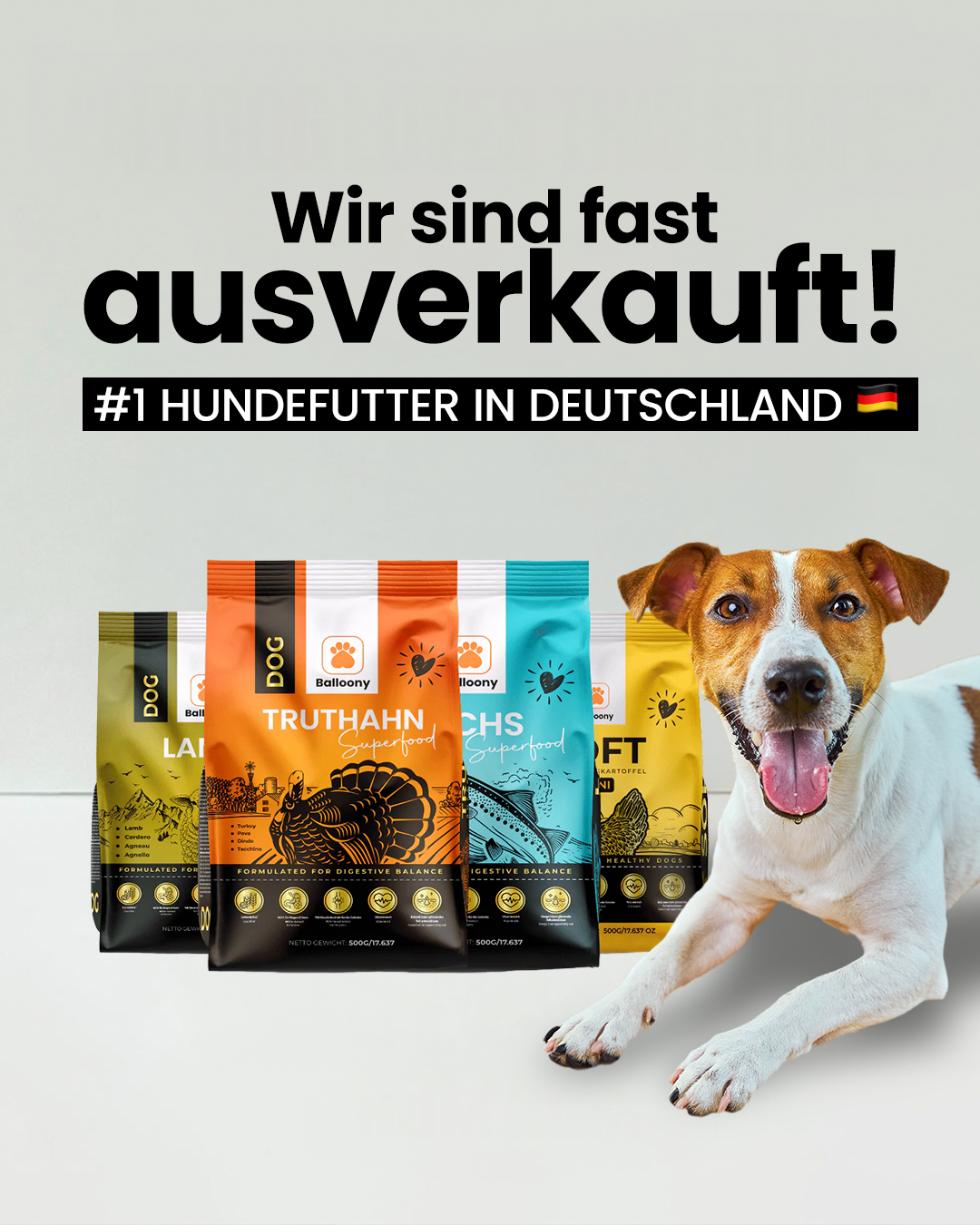 Balloony.pet Facebook ad