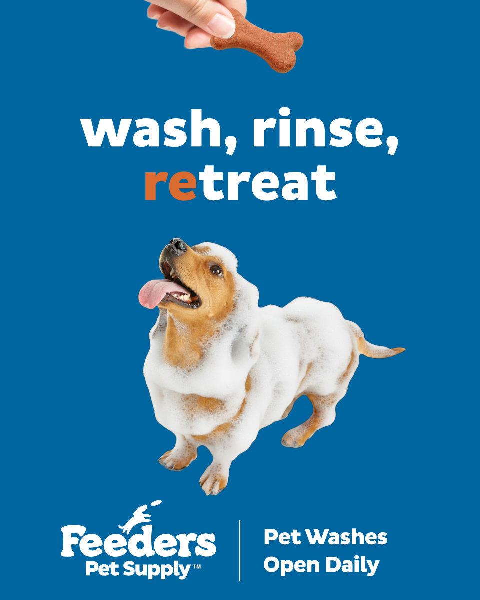 Feeders Pet Supply Facebook ad from Jun 16, 2026