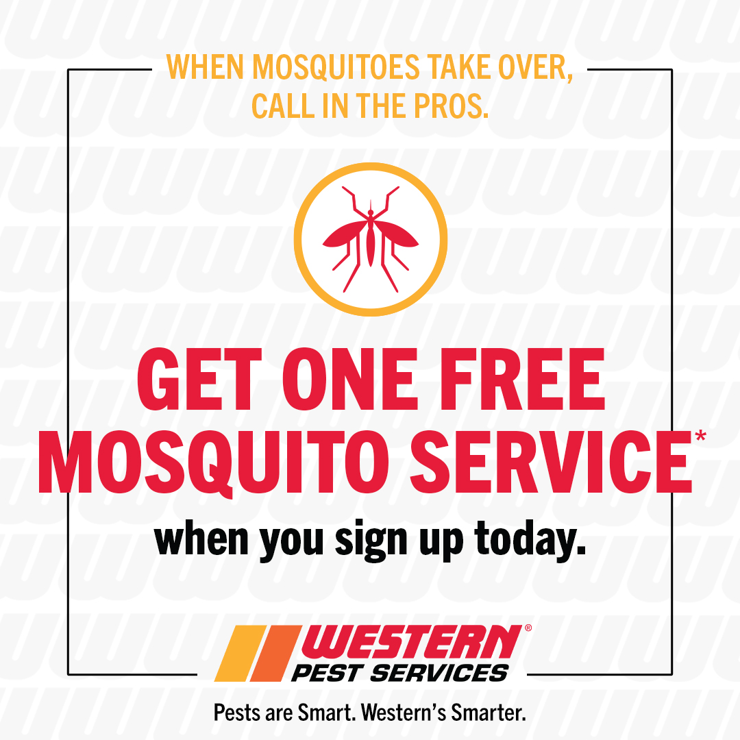 Western Pest Services Facebook ad