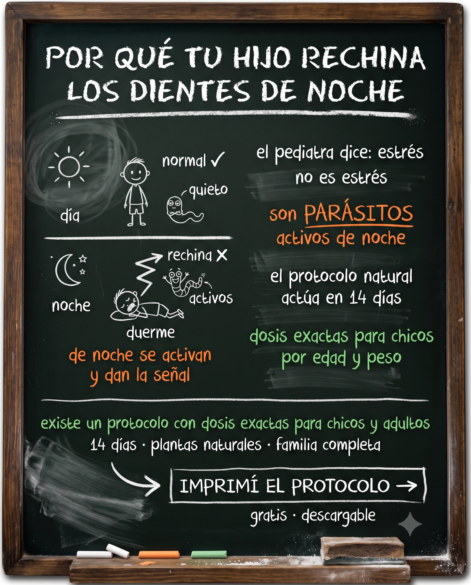 Cocina Activa Facebook ad