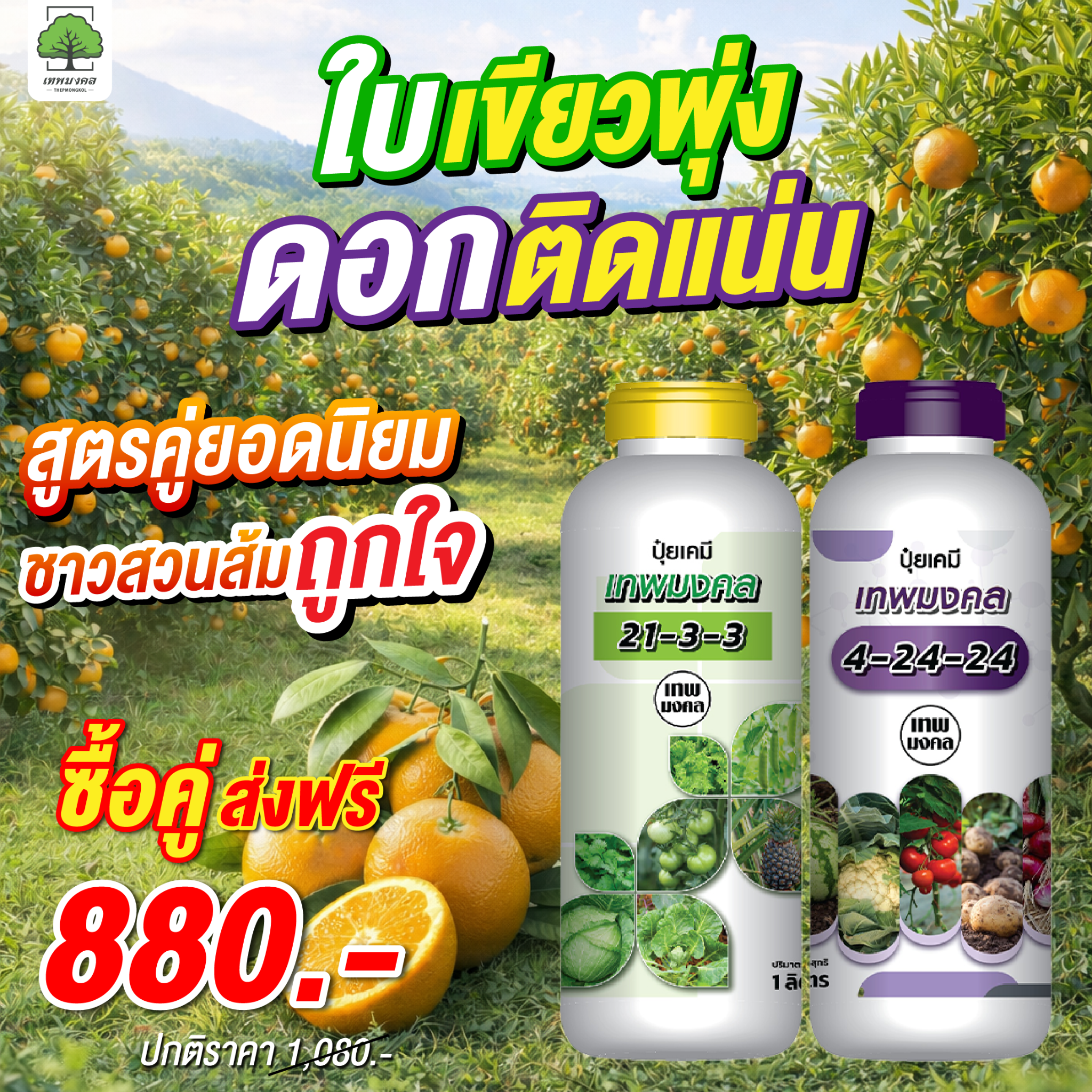 สินค้าการเกษตร เพื่อเกษตรกรไทย ตราเทพมงคล Facebook ad
