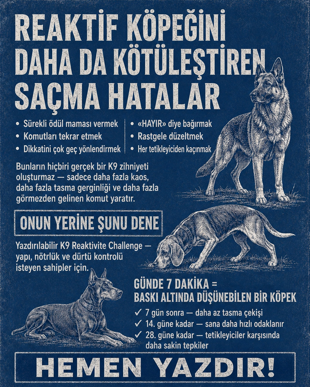Reactive Dogs Club Facebook ad