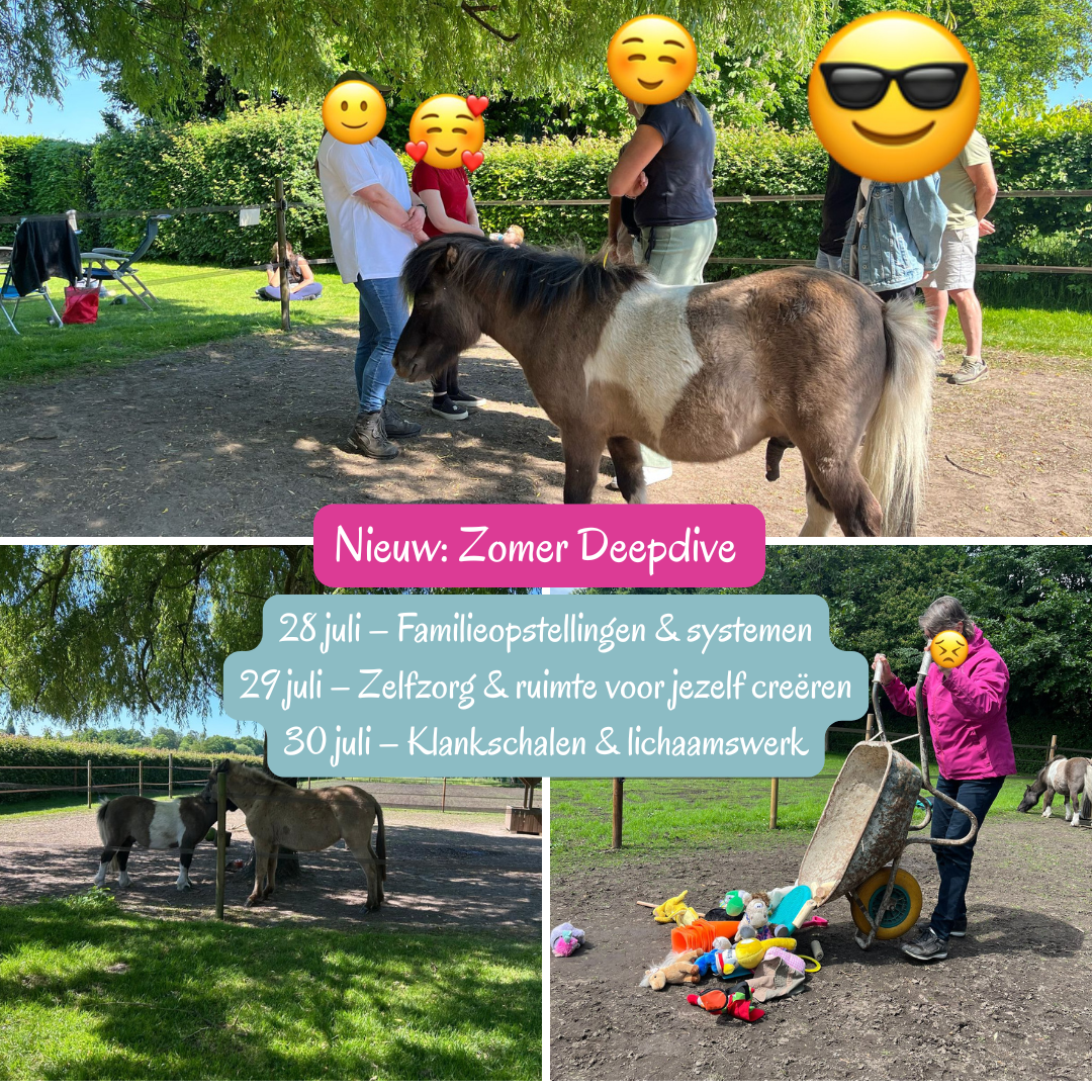 The Clever Company Facebook ad: Zomer Deepdive: 3 dagen op reis in jezelf (Weert)