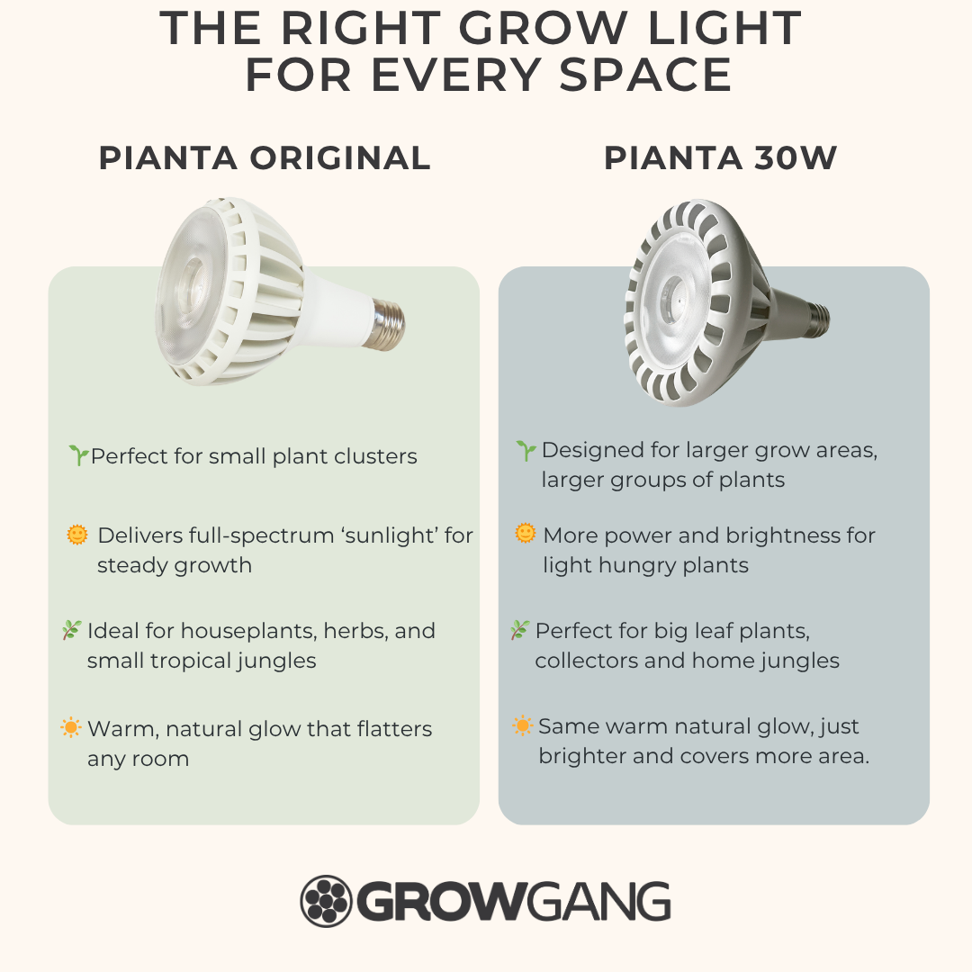 Grow Gang Facebook ad from Nov 10, 2025