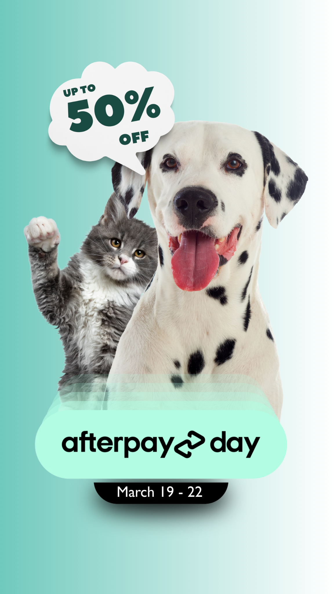 Modern Pets Facebook ad