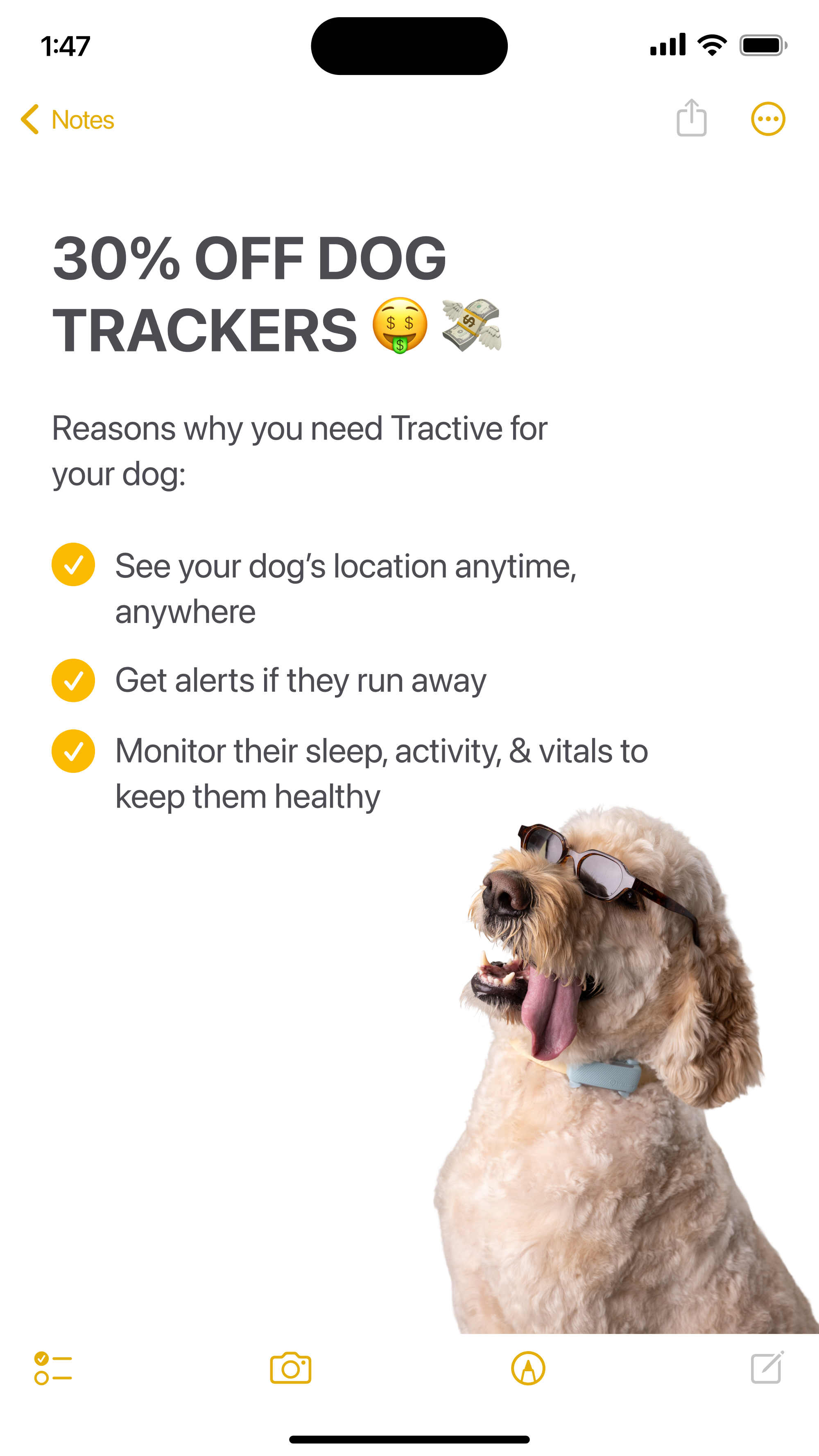 Tractive Facebook ad