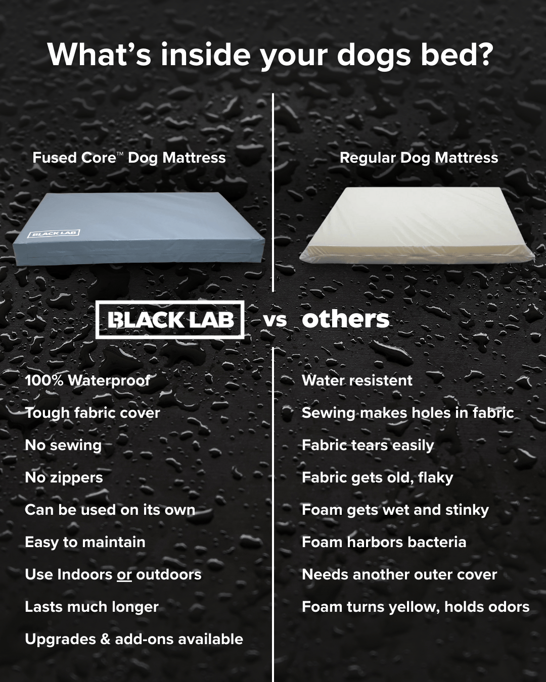 Black Lab Brands Facebook ad