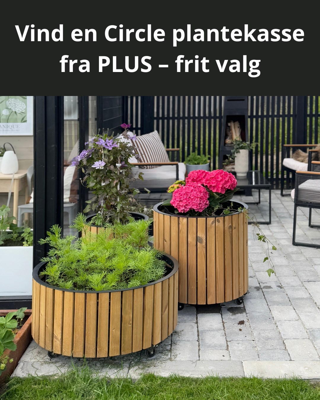 BAUHAUS Danmark Facebook ad: VIND EN VALGFRI CIRCLE PLANTEKASSE FRA PLUS