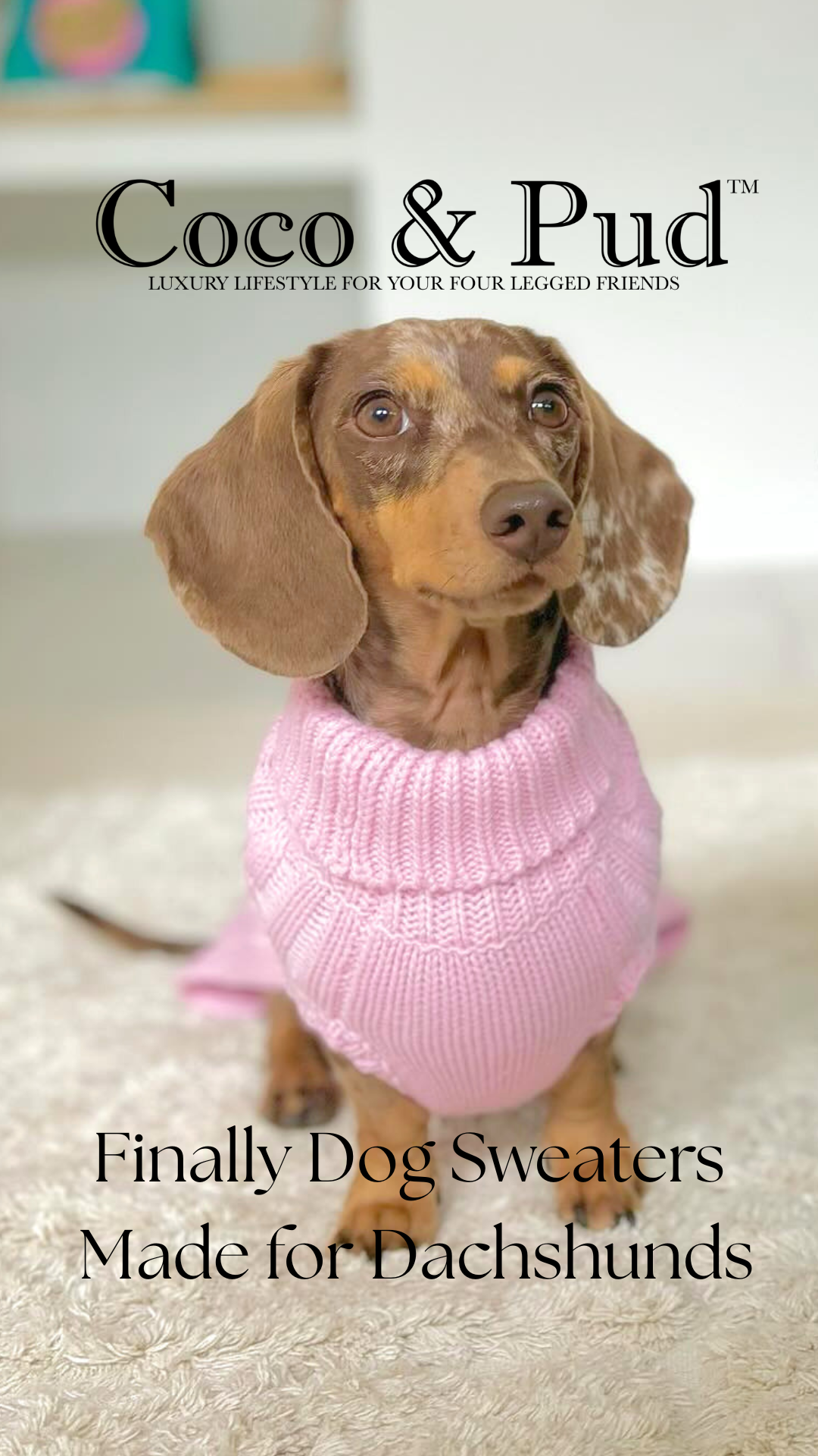 Coco and Pud Facebook ad