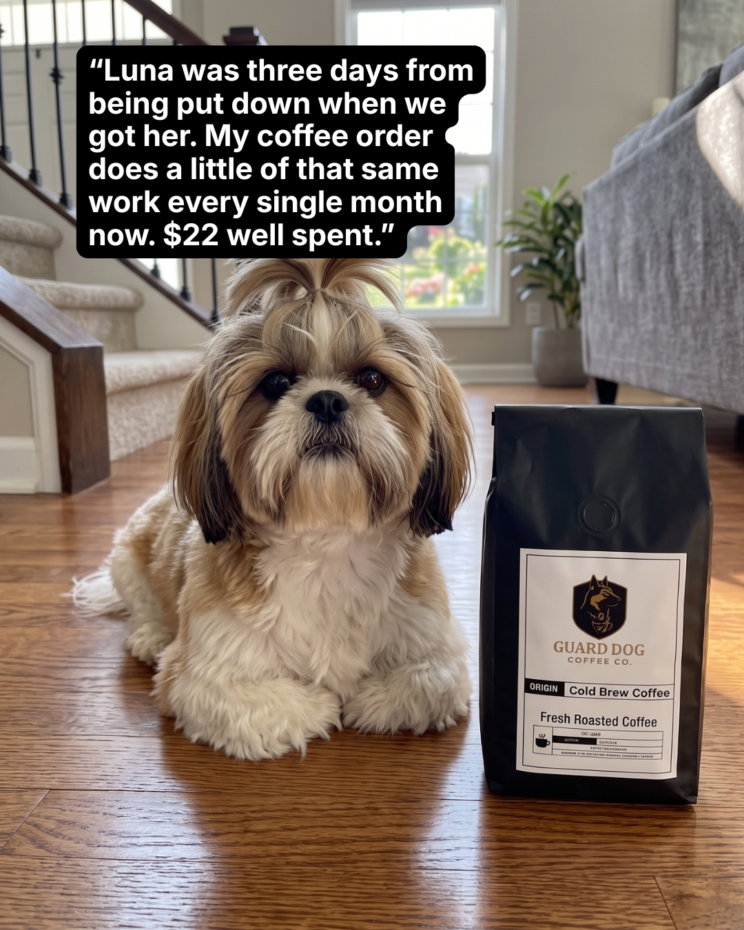Guard Dog Coffee Co. Facebook ad