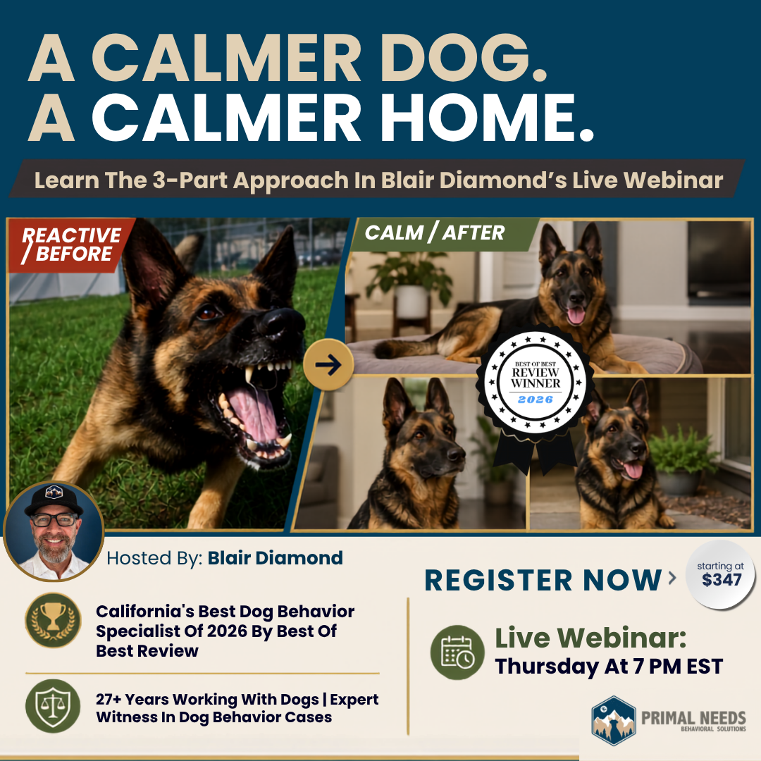 Primal Needs Dog Training and Behavioral Solutions Facebook ad: Discover Why Your Dog’s Behavior Keeps Coming Back
