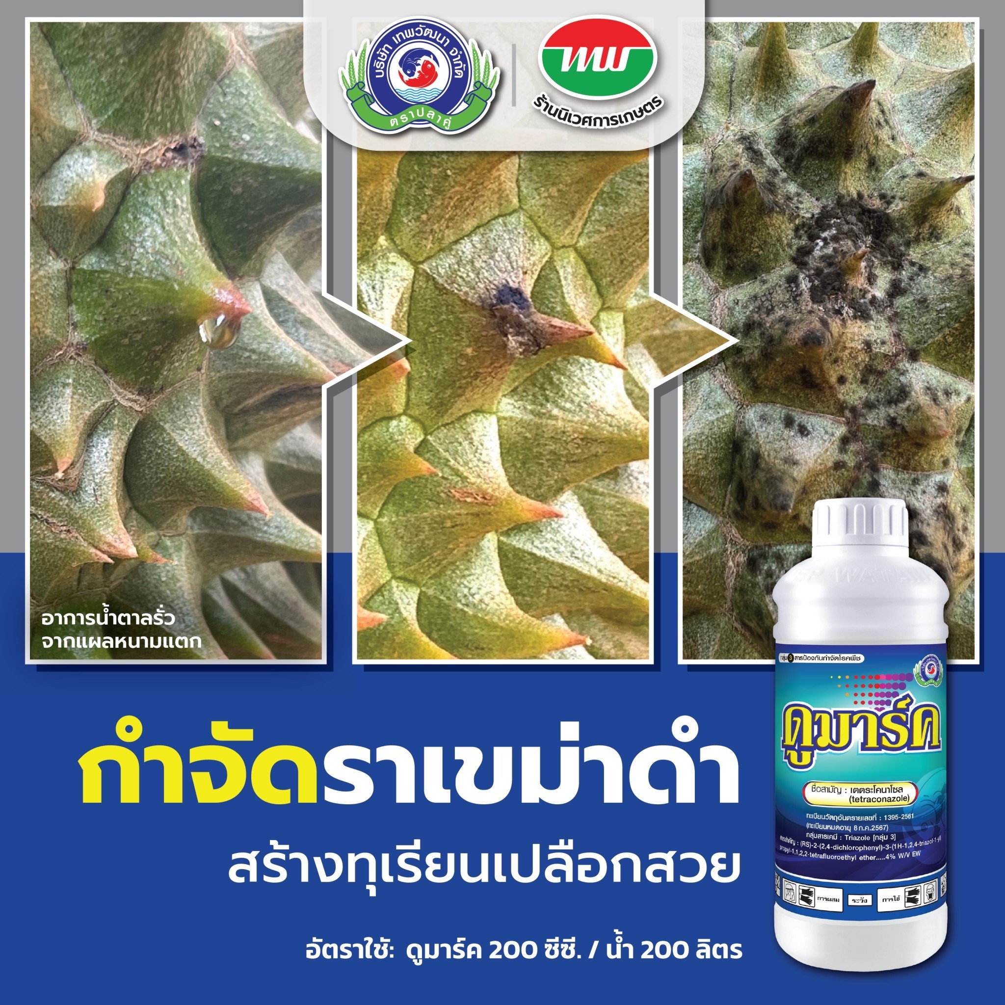 นิเวศการเกษตร Facebook ad: กำจัดราดำ สร้างทุเรียนเปลือกสวย ด้วย