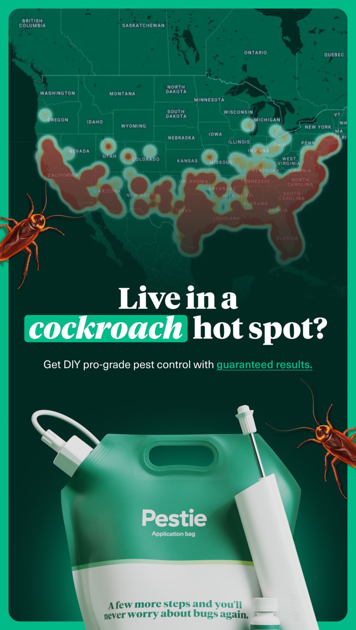 Pestie Facebook ad