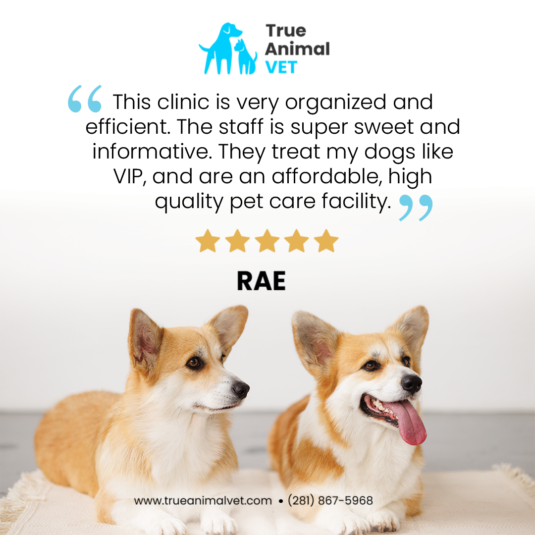 True Animal Vet Facebook ad