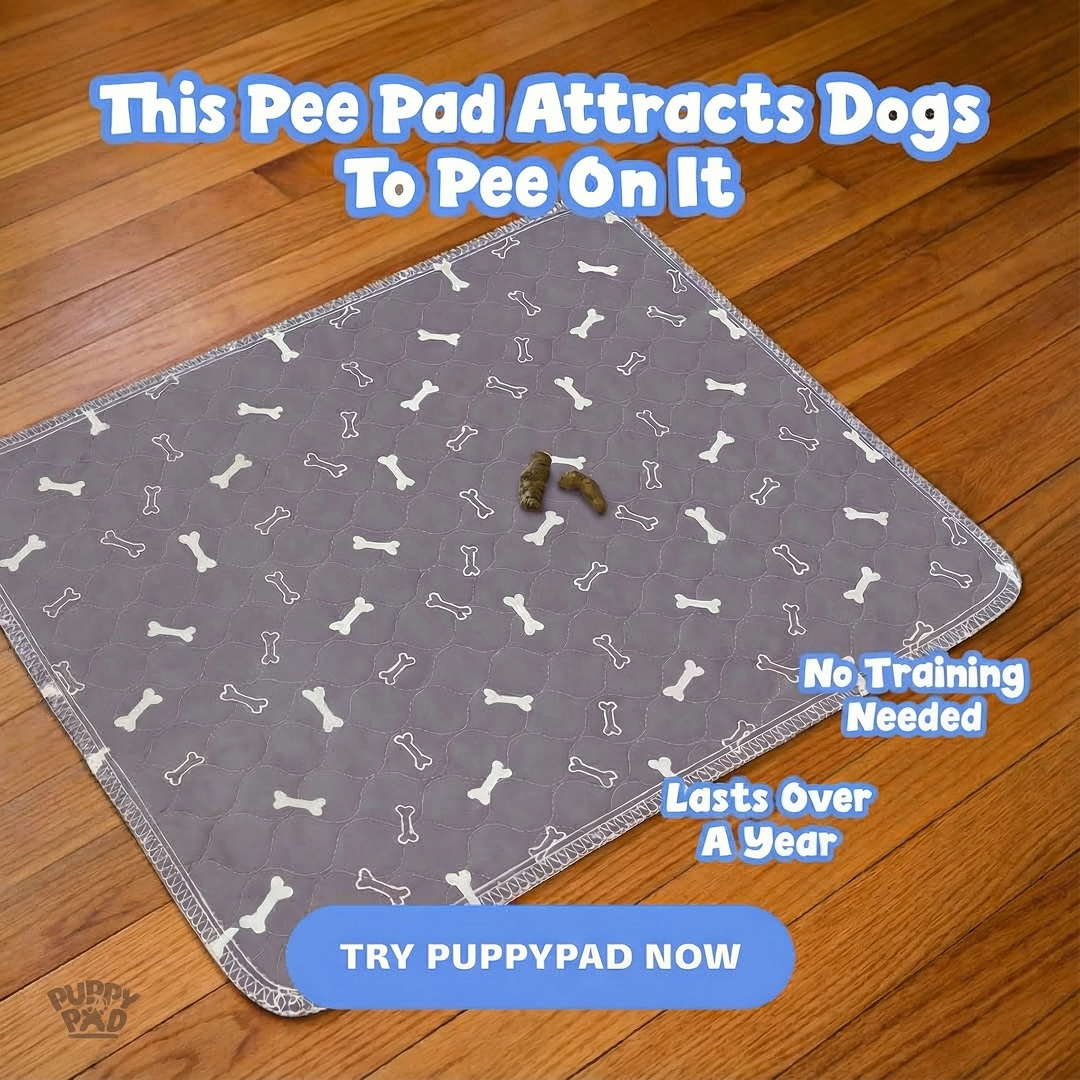 PuppyPad Facebook ad