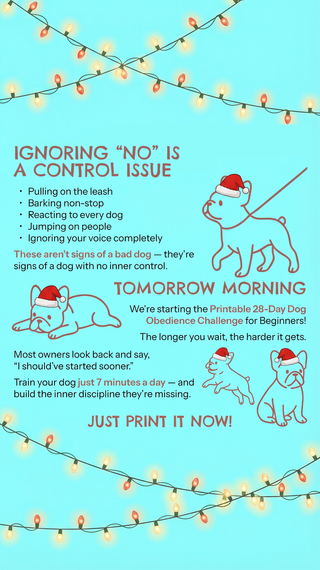 28 Day Dog Obedience Challenge Facebook ad