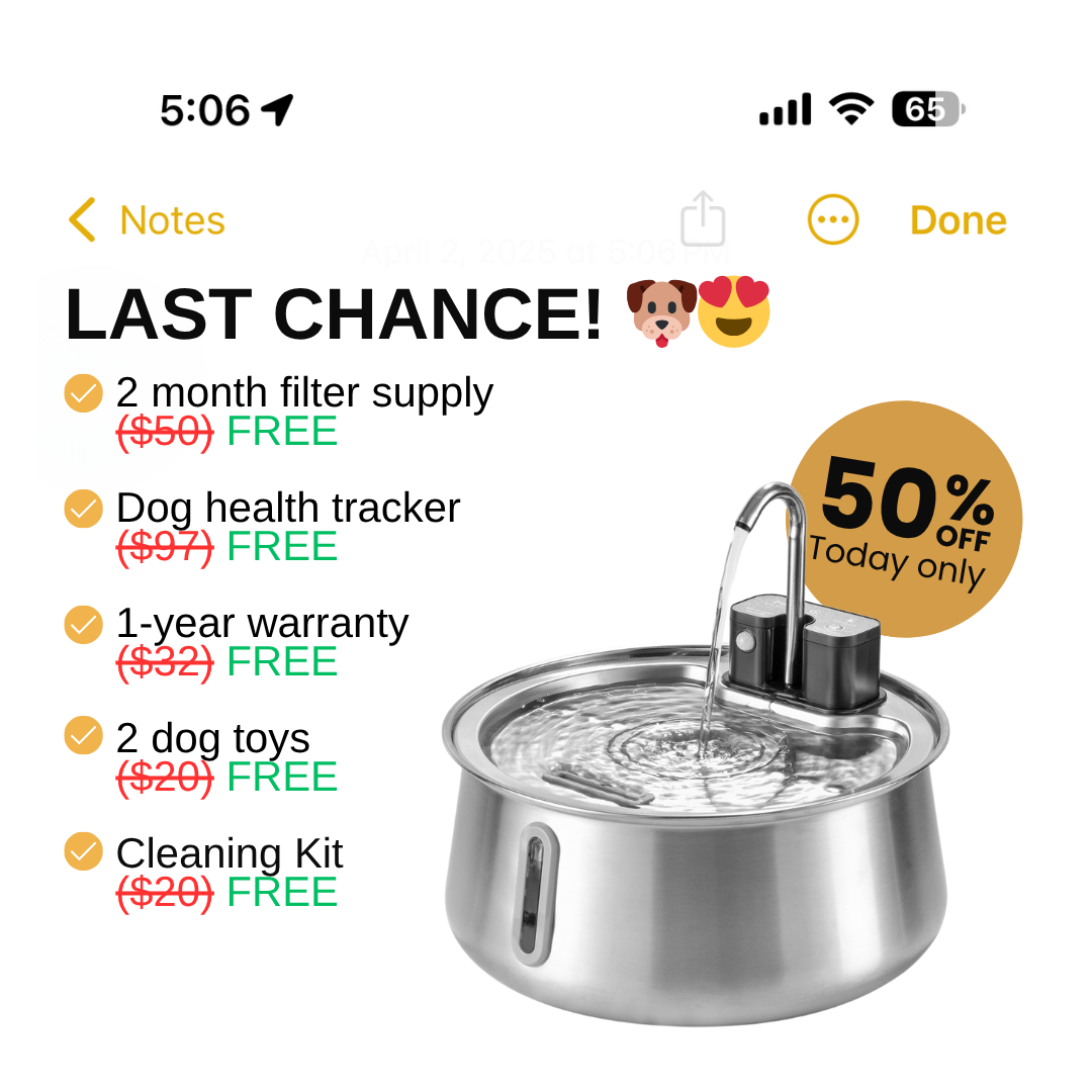 DoggySpout Facebook ad