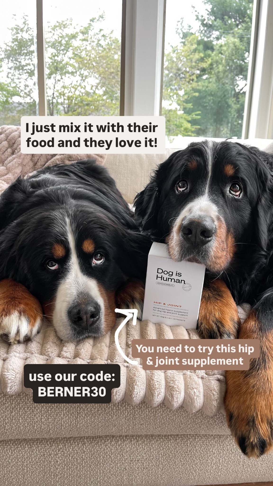 Dog is Human Facebook ad