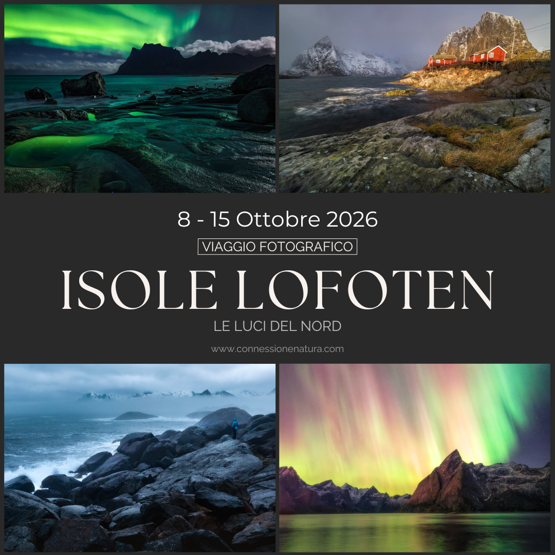 Connessione Natura - Marco Franchi Facebook ad: Viaggio fotografico alle isole Lofoten Ottobre 2026