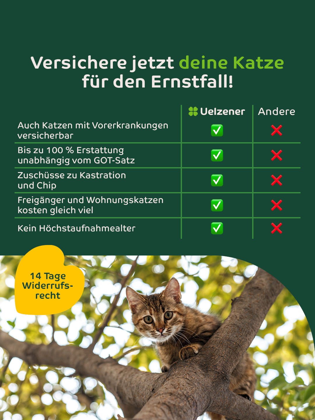Uelzener Versicherungen Facebook ad: Uelzener Katzen-Versicherungen