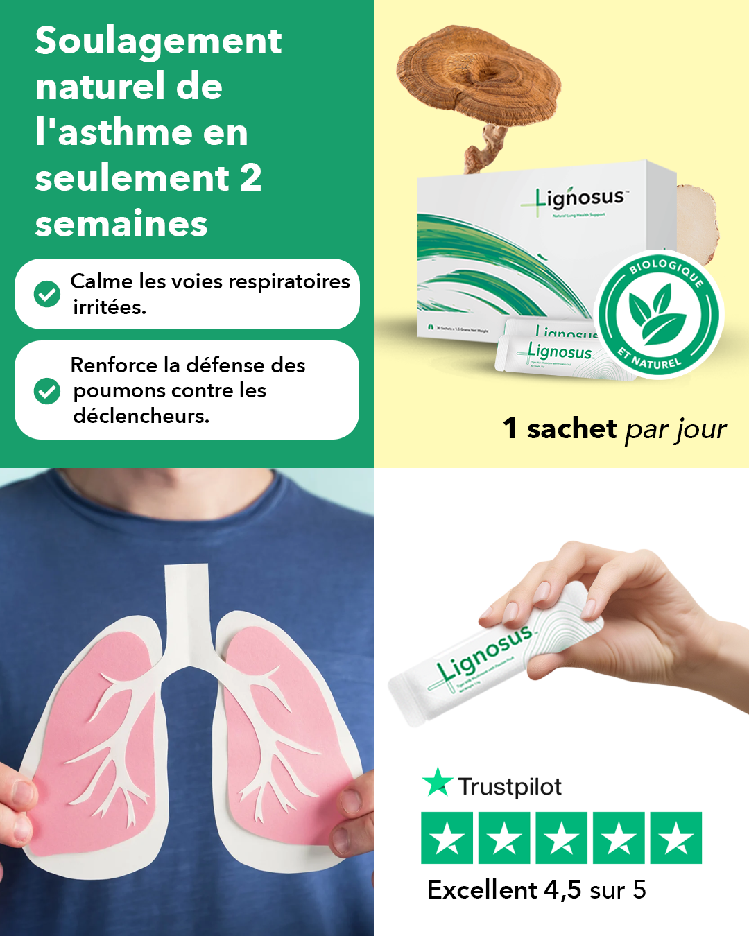 Lignosus Facebook ad