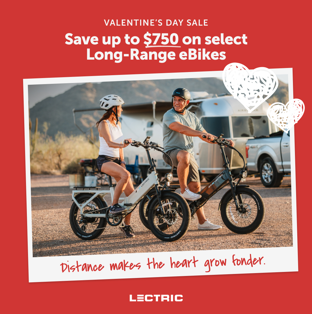 Lectric eBikes Facebook ad