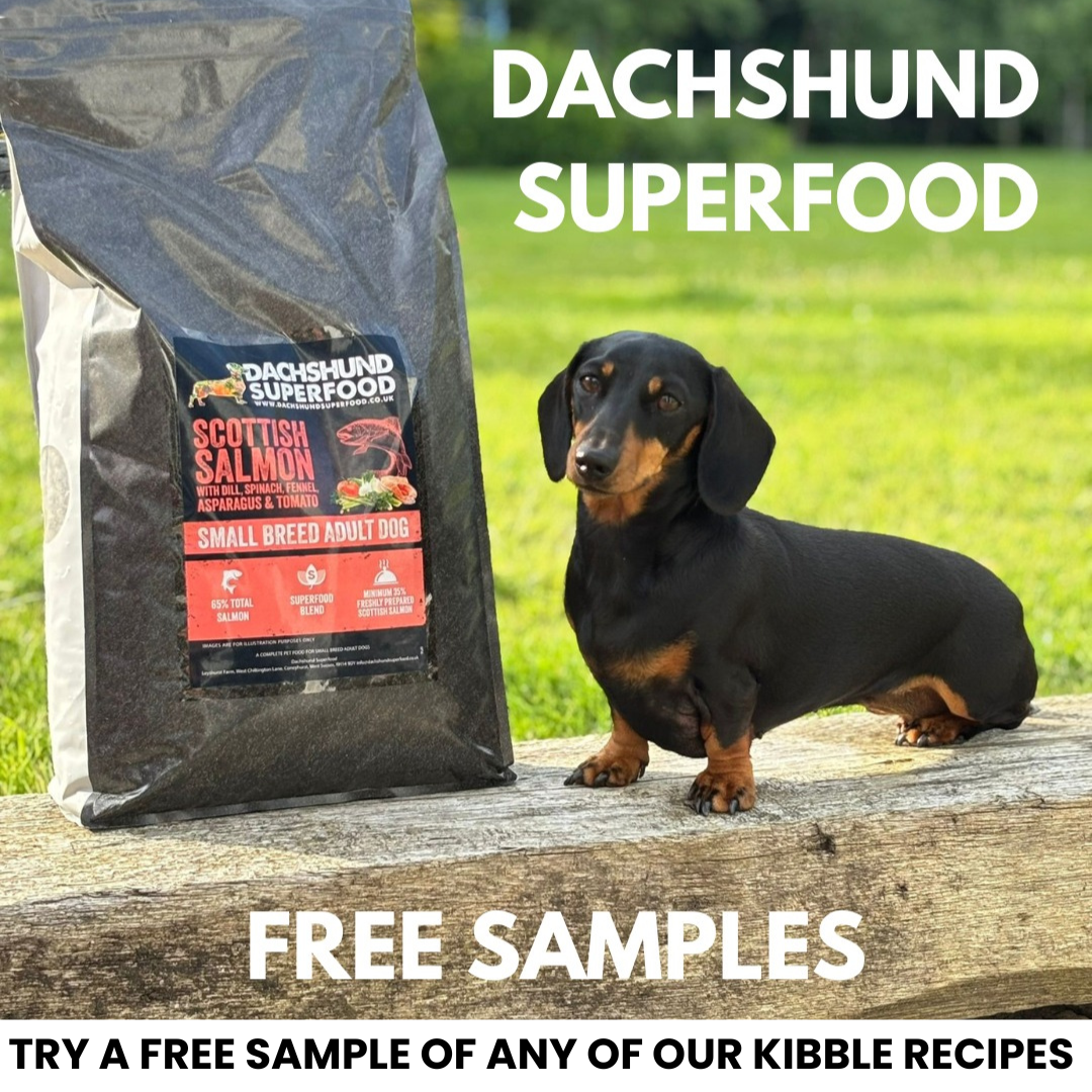 Dachshund Superfood Facebook ad