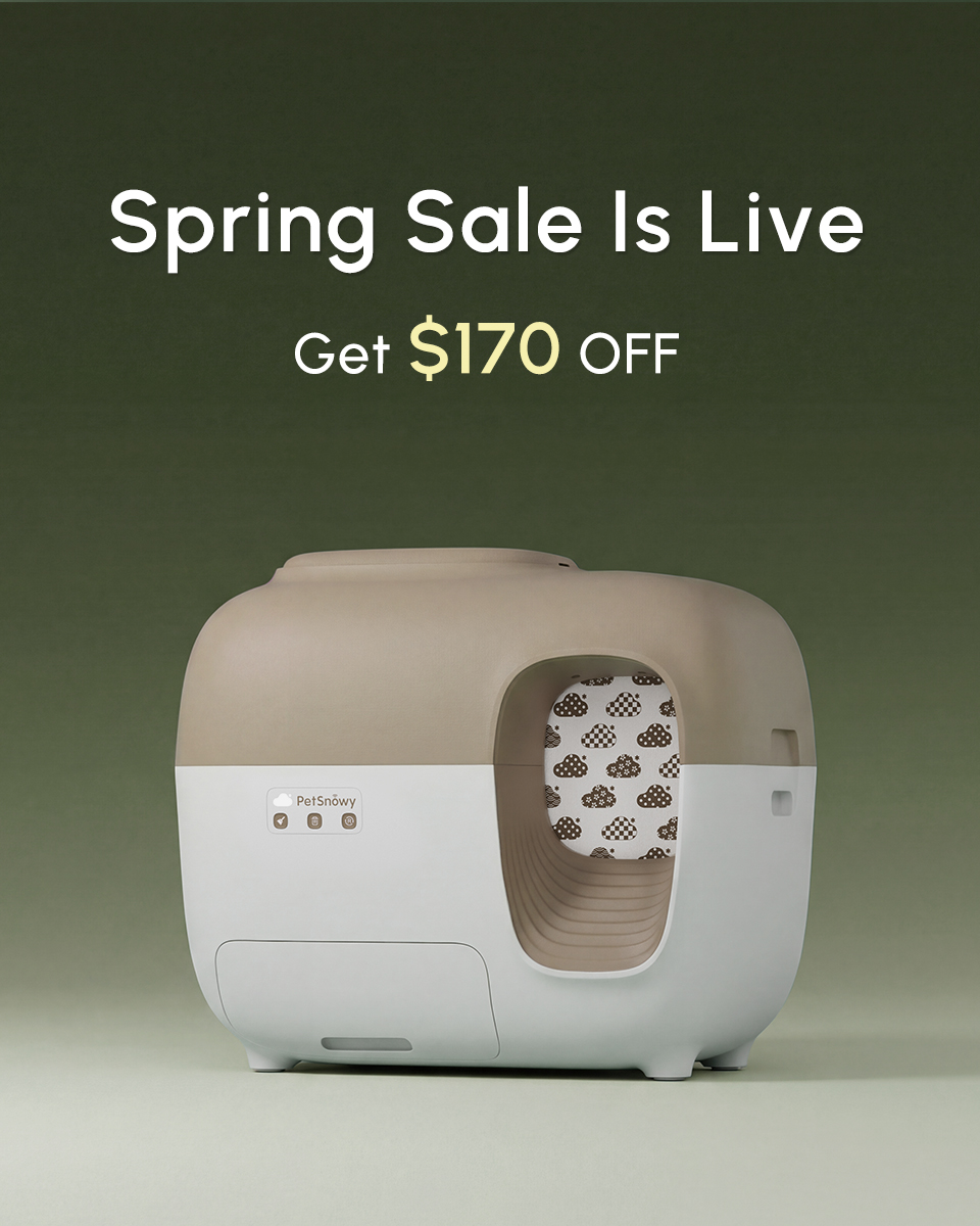 PetSnowy Facebook ad