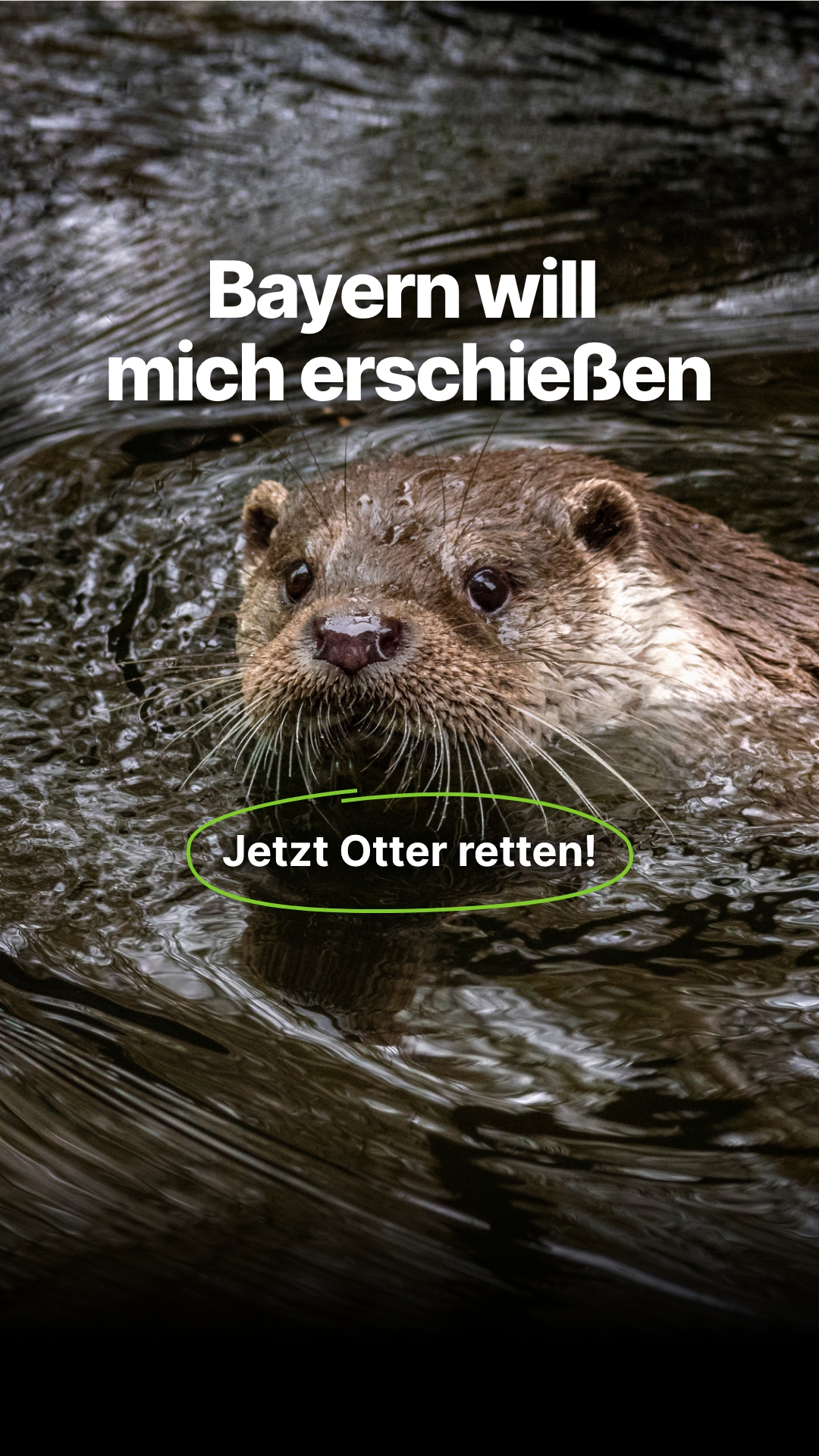 Deutsche Umwelthilfe Facebook ad from Jun 3, 2026