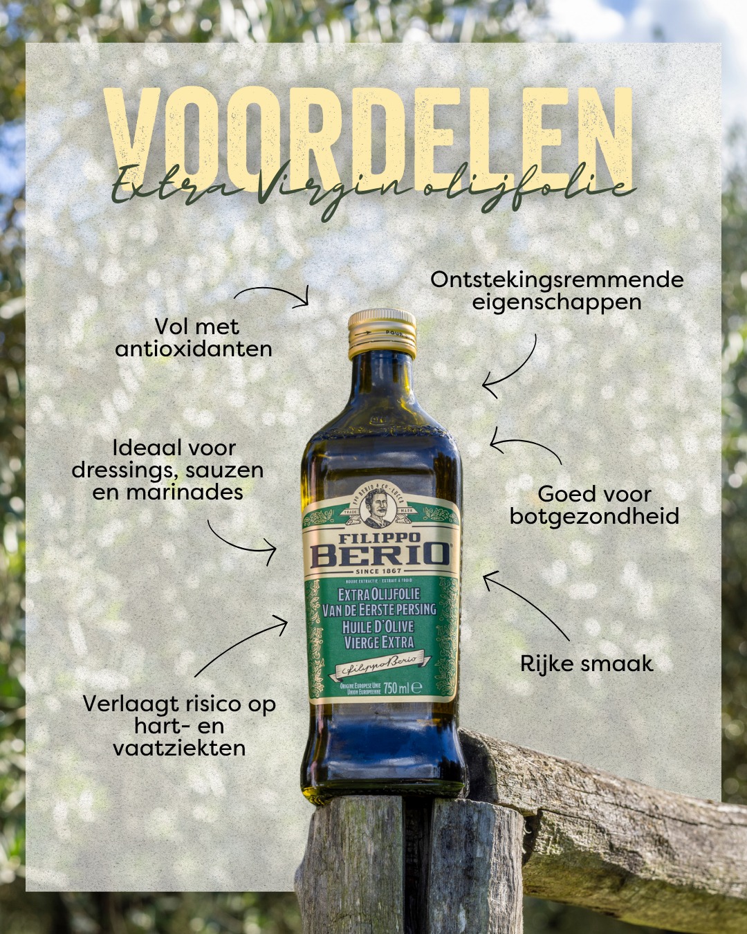 Filippo Berio Belgium Facebook ad: Filippo Berio Extra Virgin olijfolie is niet alleen…