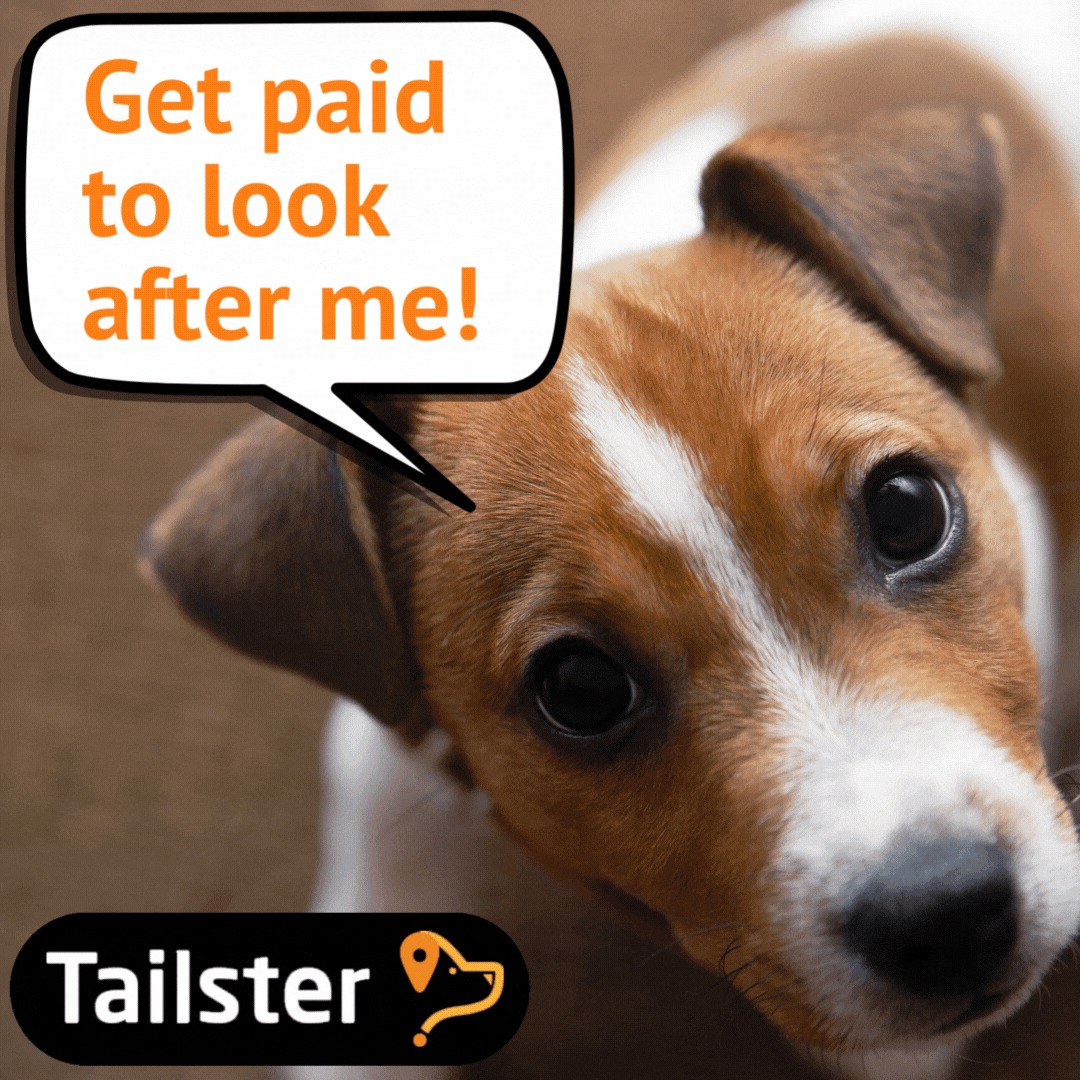 Tailster Facebook ad