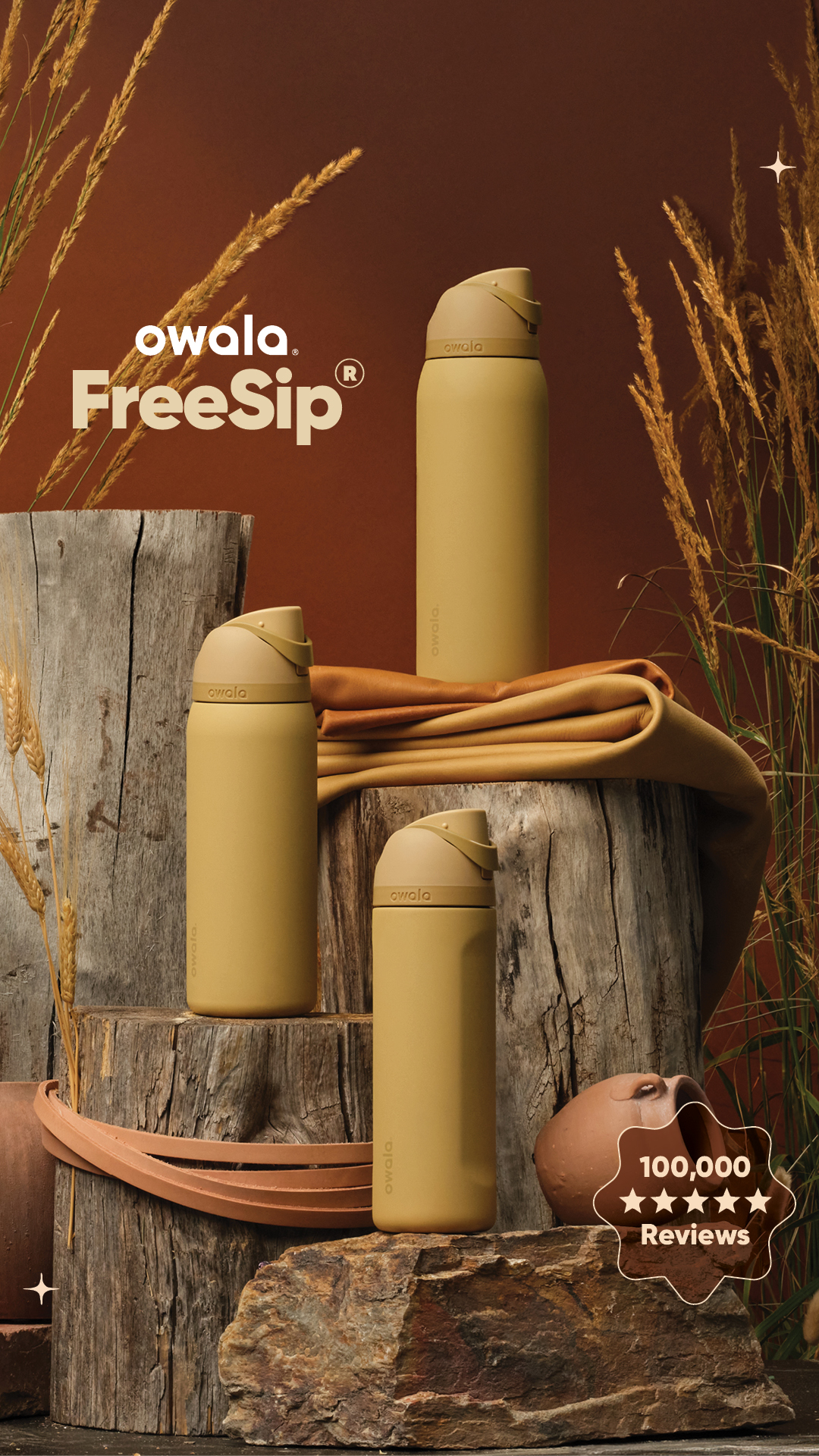 Owala Facebook ad